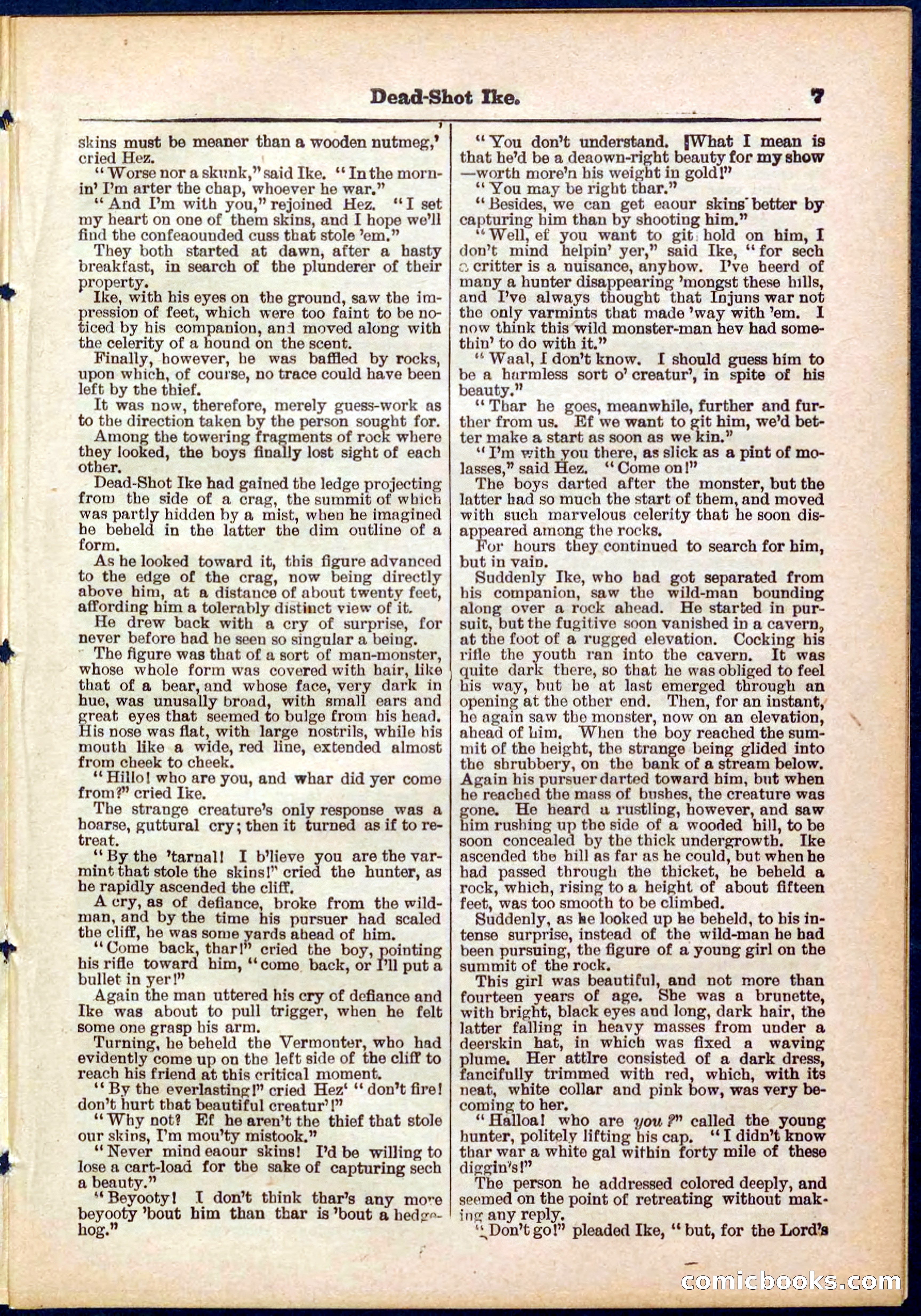 Beadle's Pocket Library No. 323 — page 7 of 32
