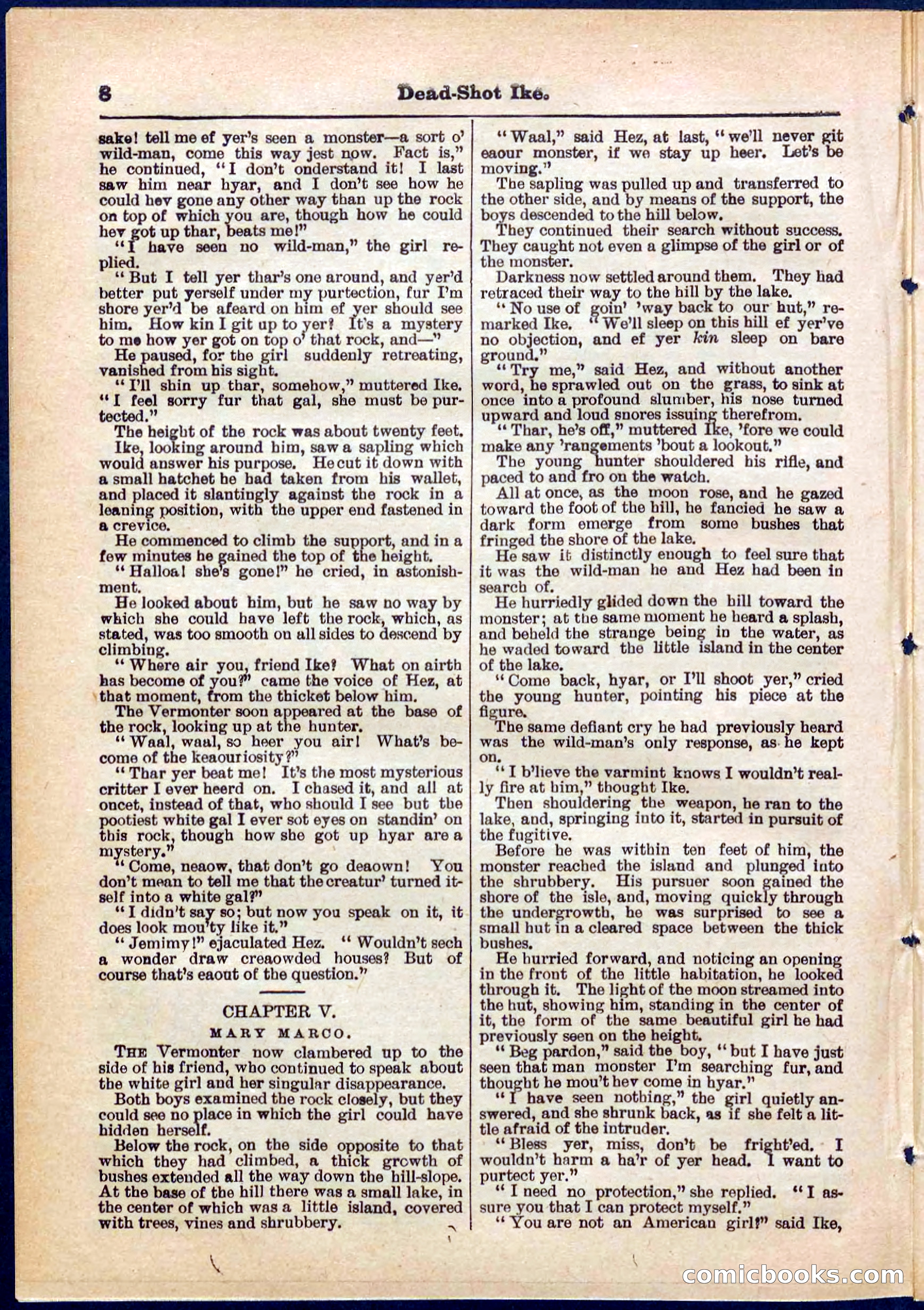 Beadle's Pocket Library No. 323 — page 8 of 32