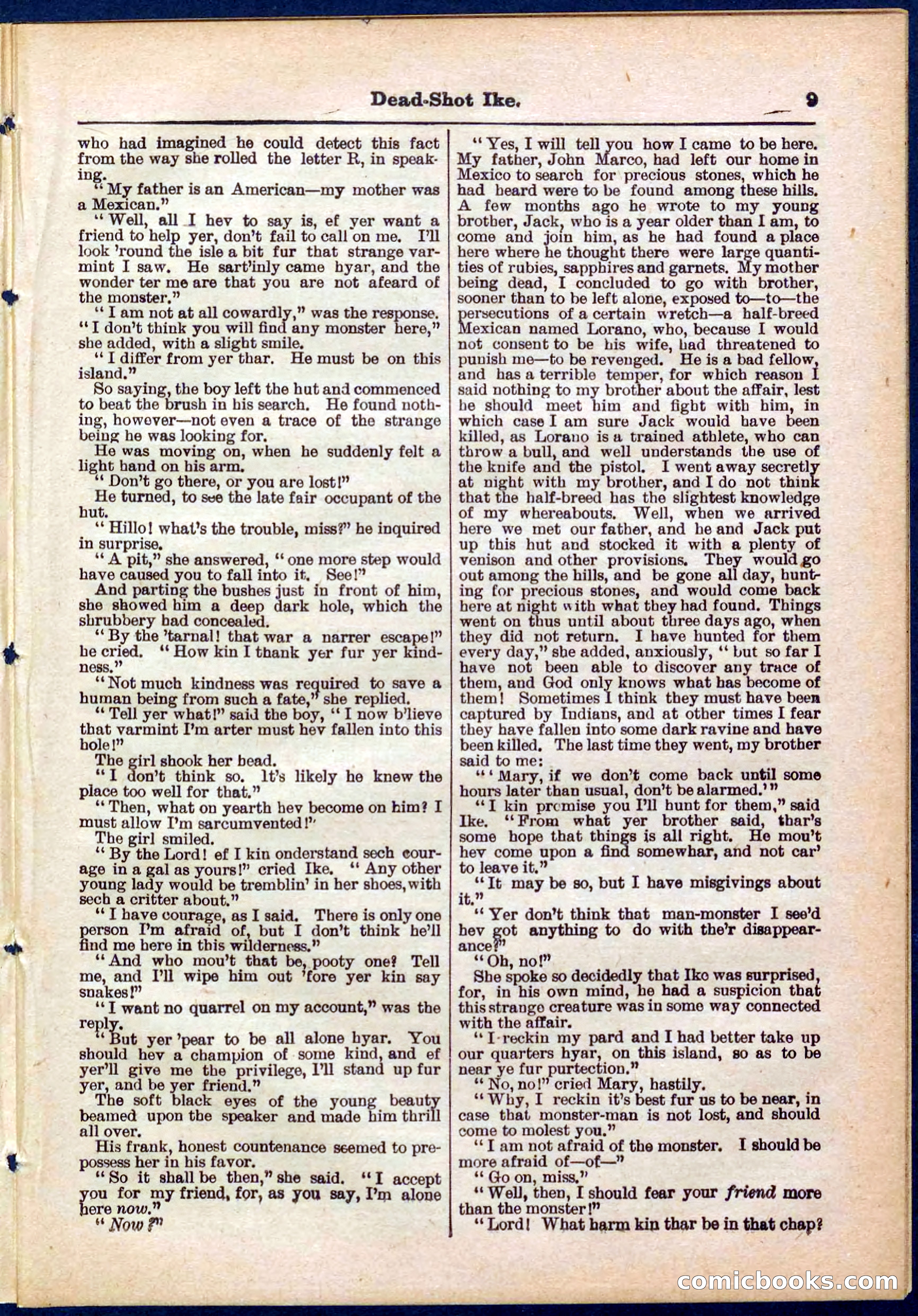 Beadle's Pocket Library No. 323 — page 9 of 32