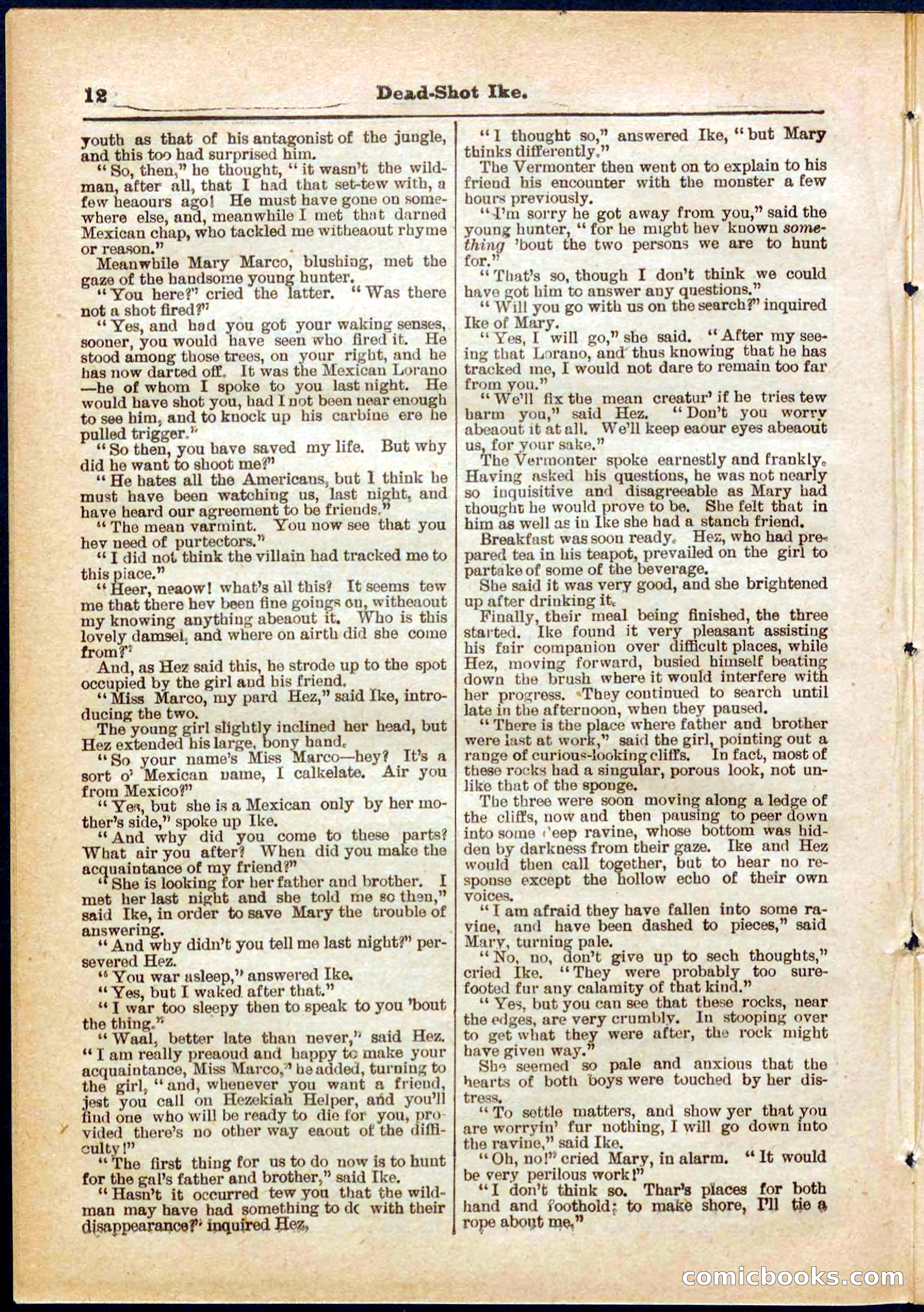 Beadle's Pocket Library No. 323 — page 12 of 32