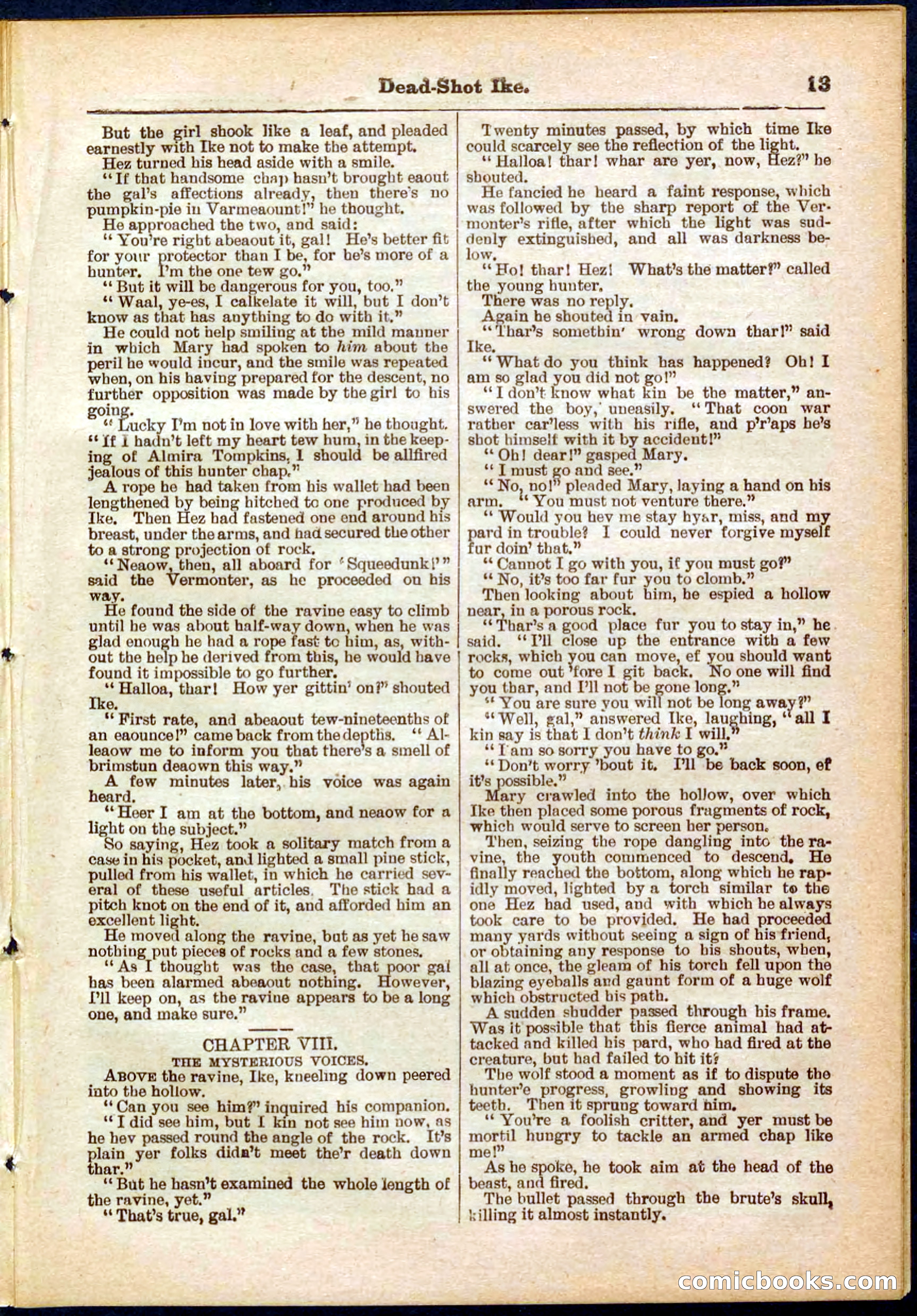 Beadle's Pocket Library No. 323 — page 13 of 32