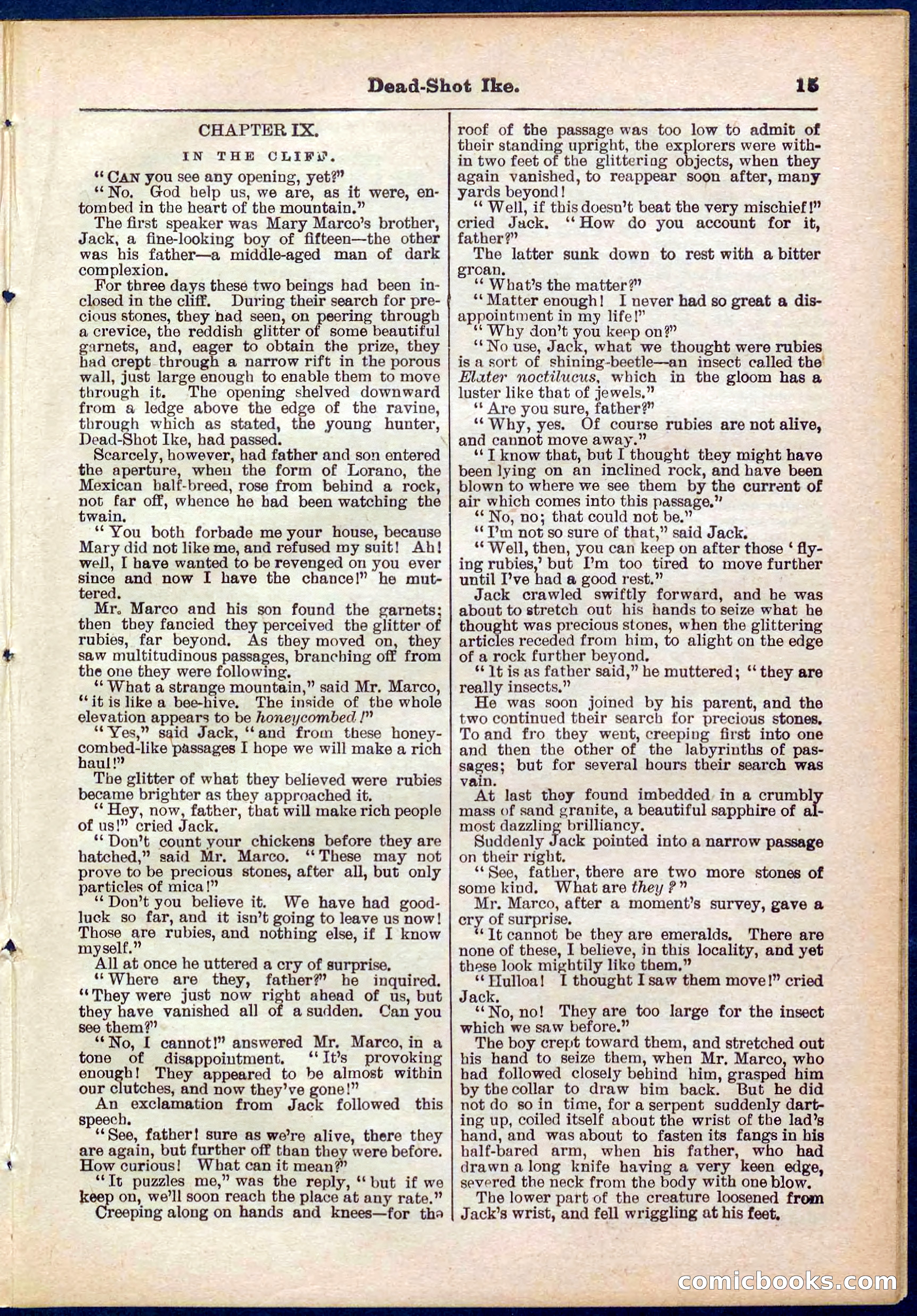 Beadle's Pocket Library No. 323 — page 15 of 32