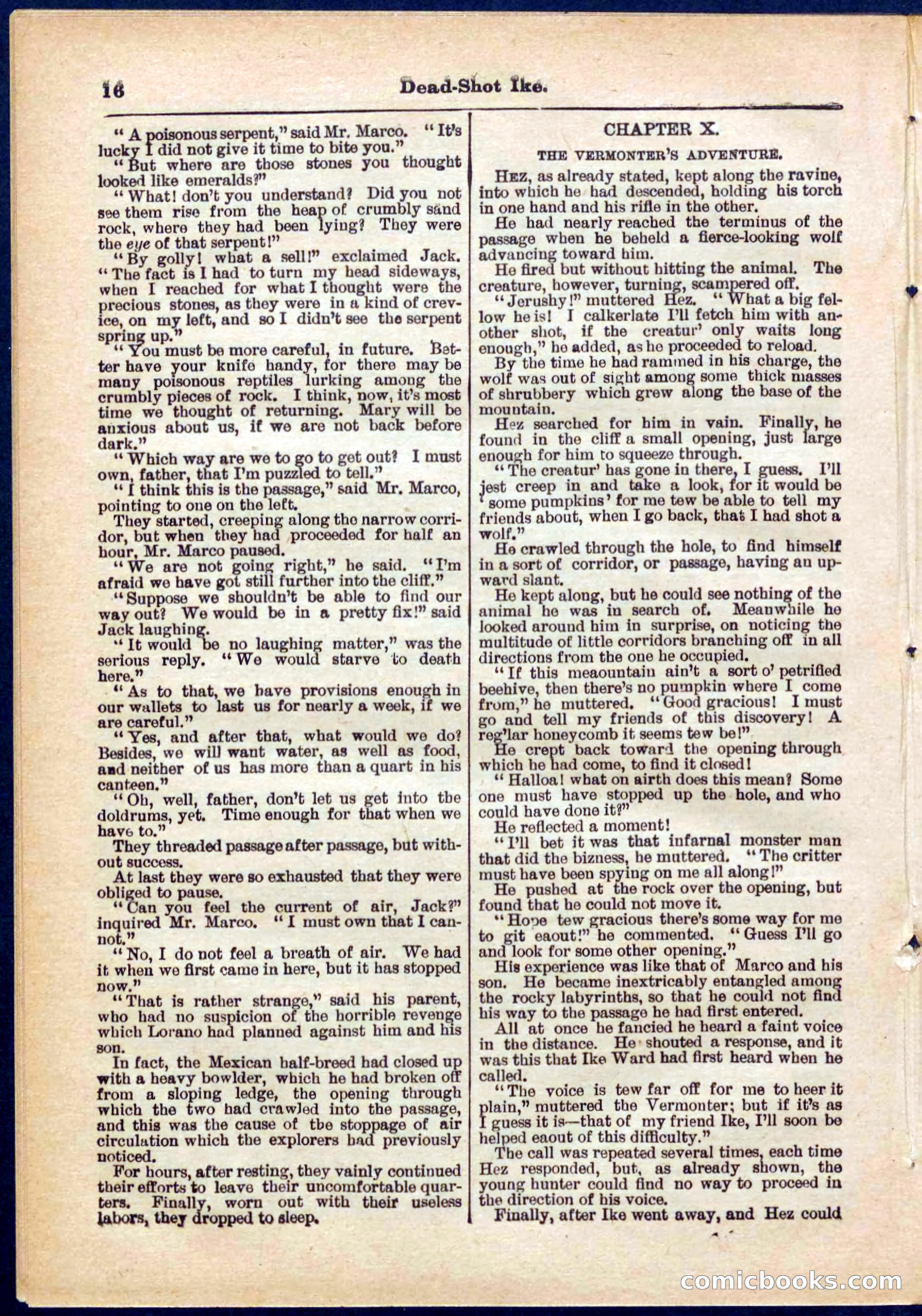 Beadle's Pocket Library No. 323 — page 16 of 32