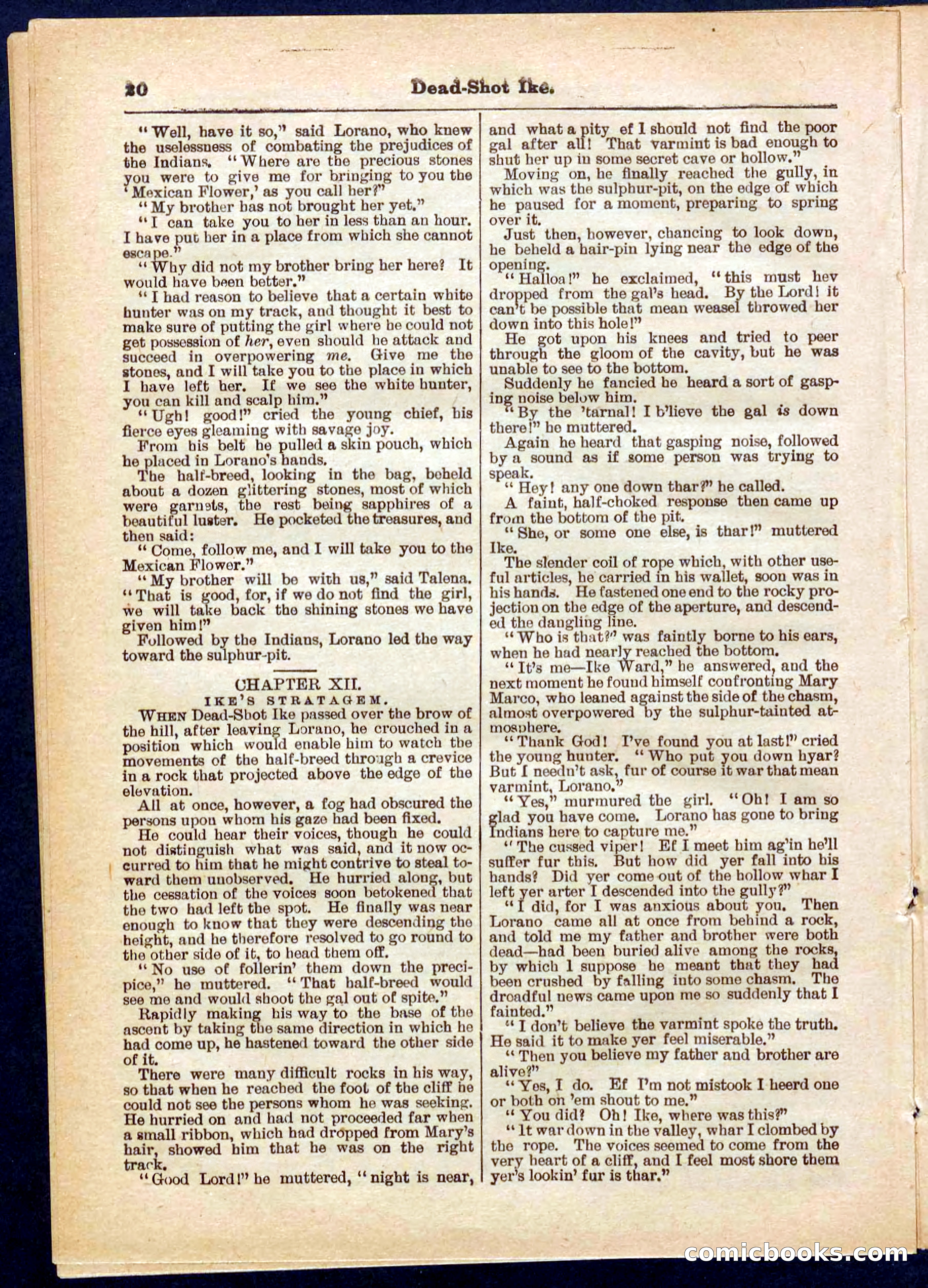 Beadle's Pocket Library No. 323 — page 20 of 32