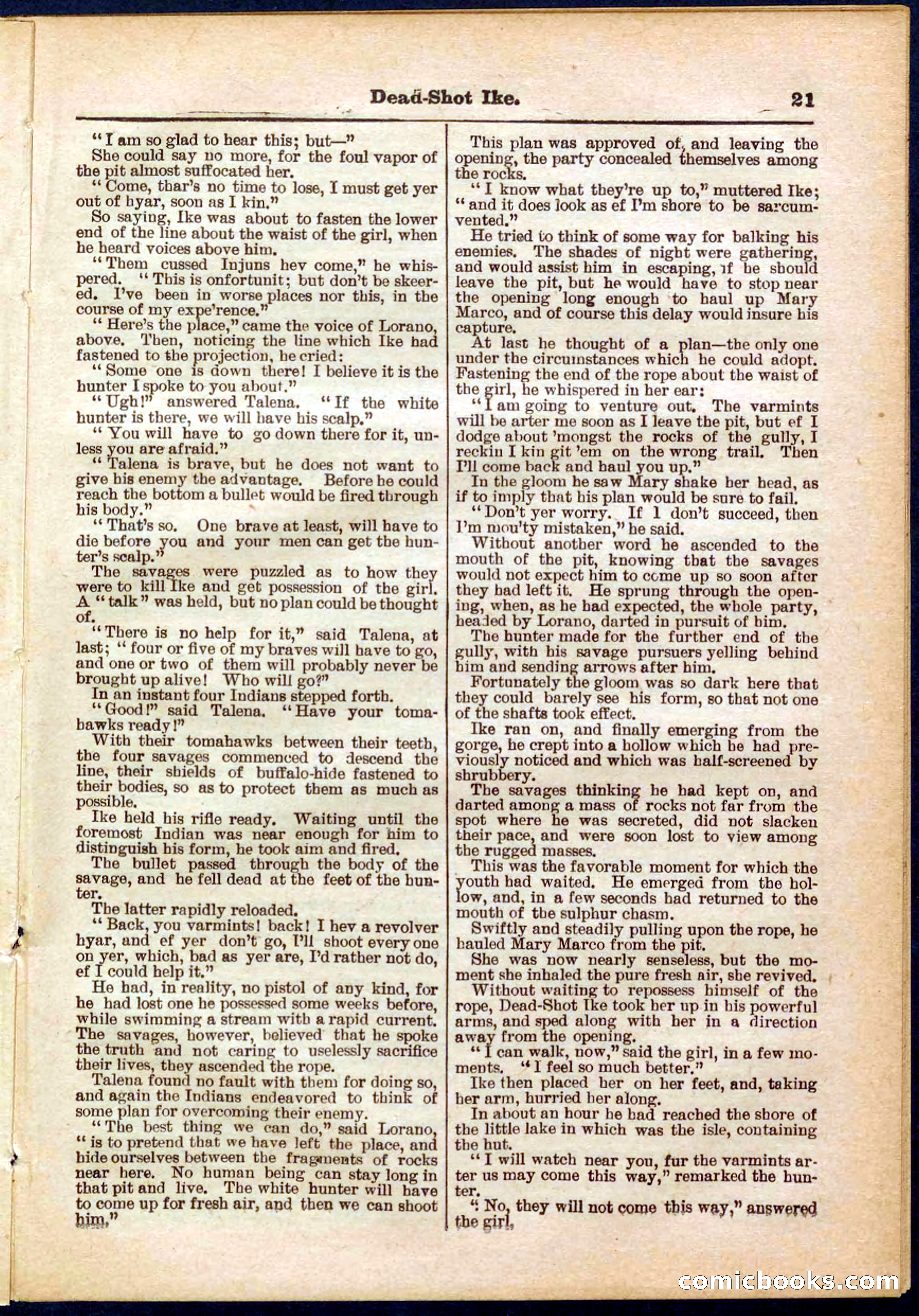Beadle's Pocket Library No. 323 — page 21 of 32