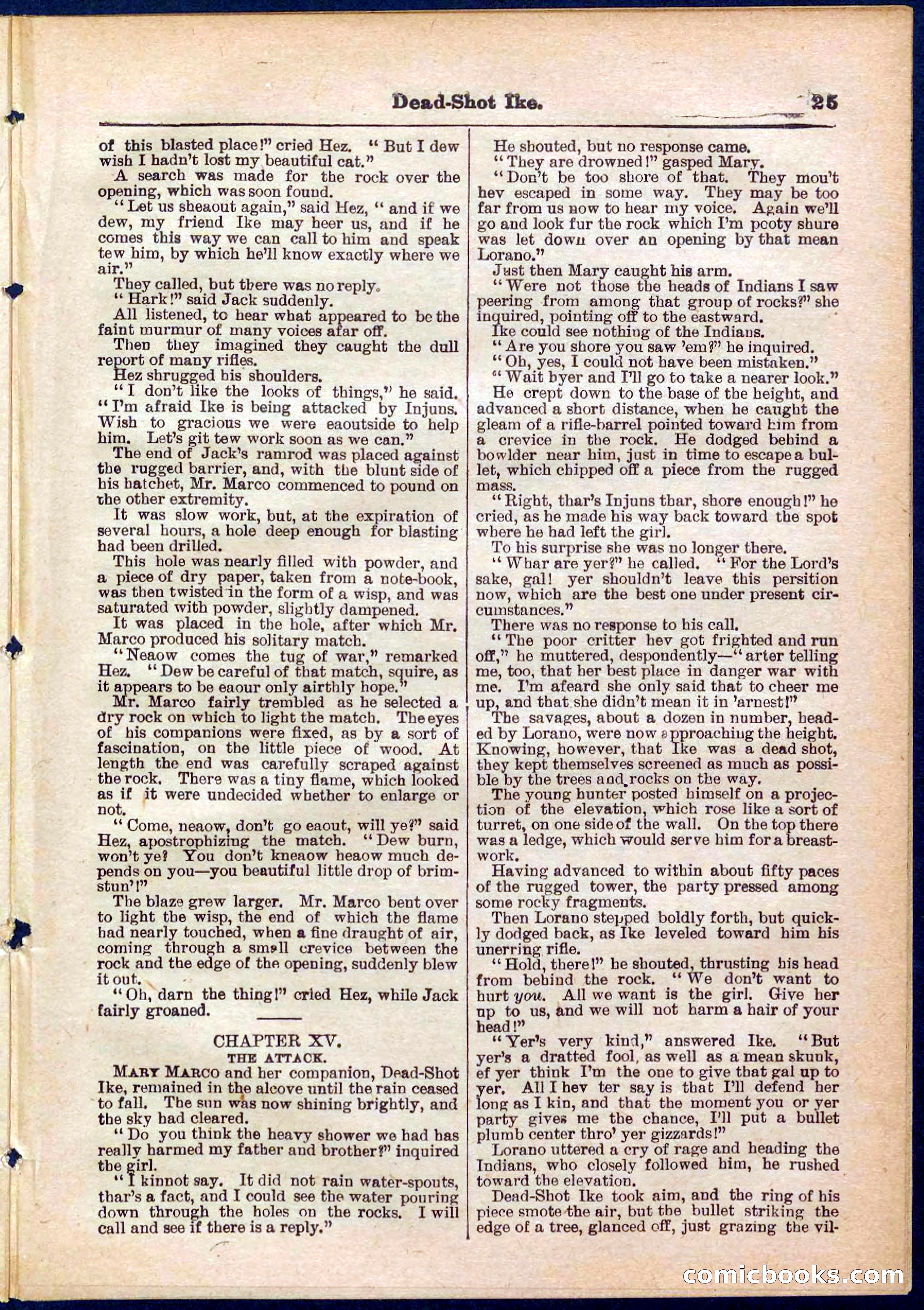 Beadle's Pocket Library No. 323 — page 25 of 32