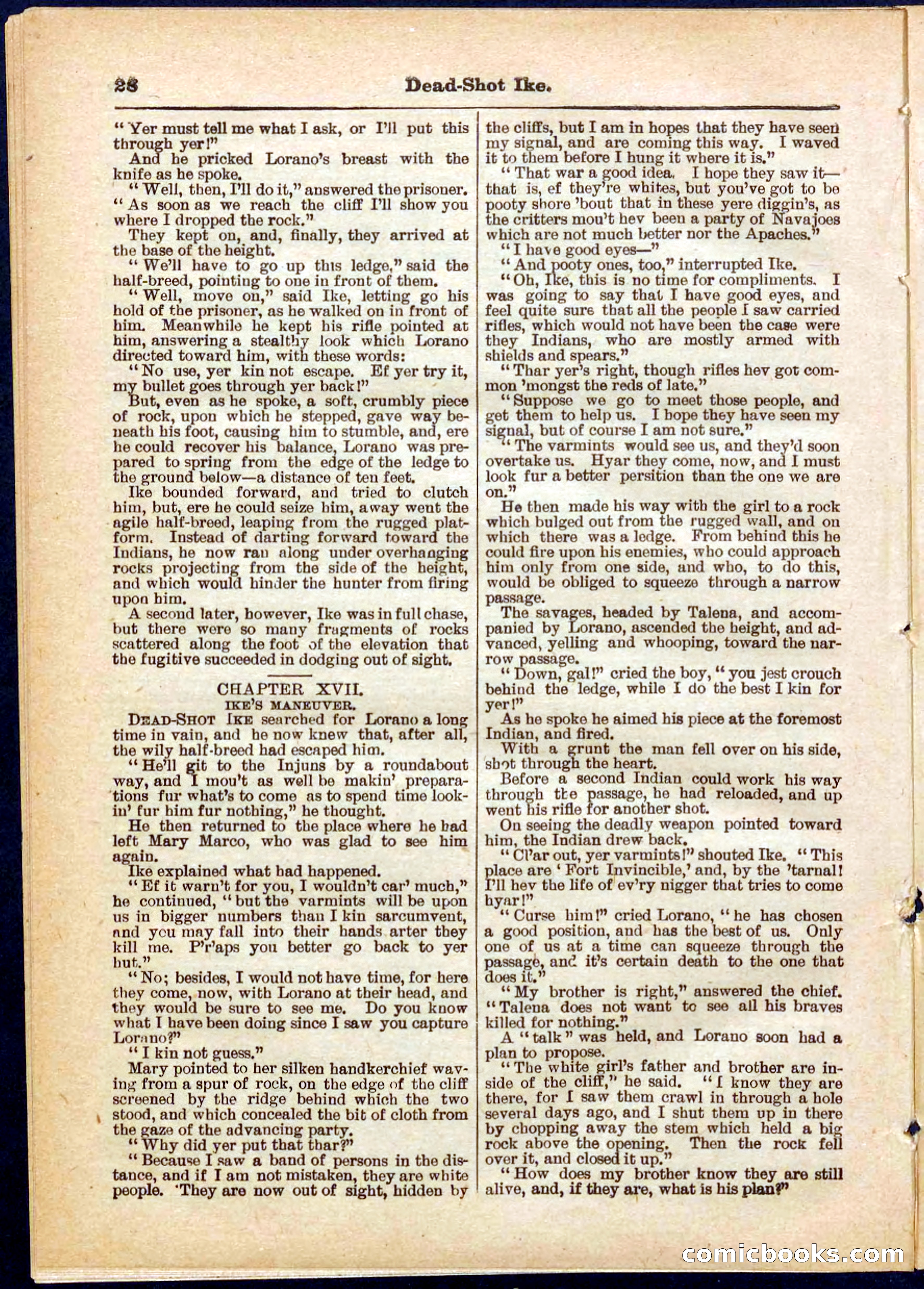 Beadle's Pocket Library No. 323 — page 28 of 32