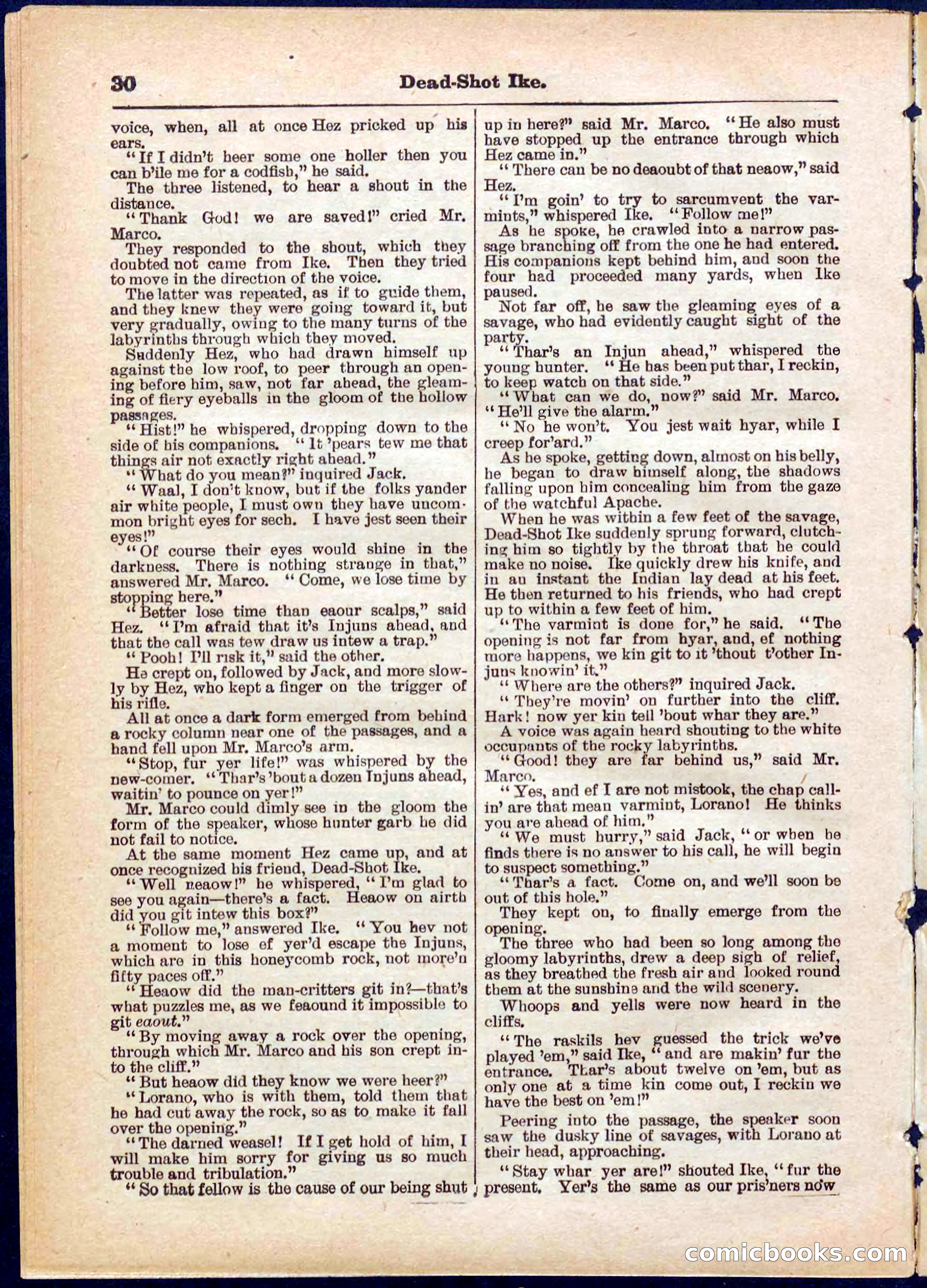 Beadle's Pocket Library No. 323 — page 30 of 32