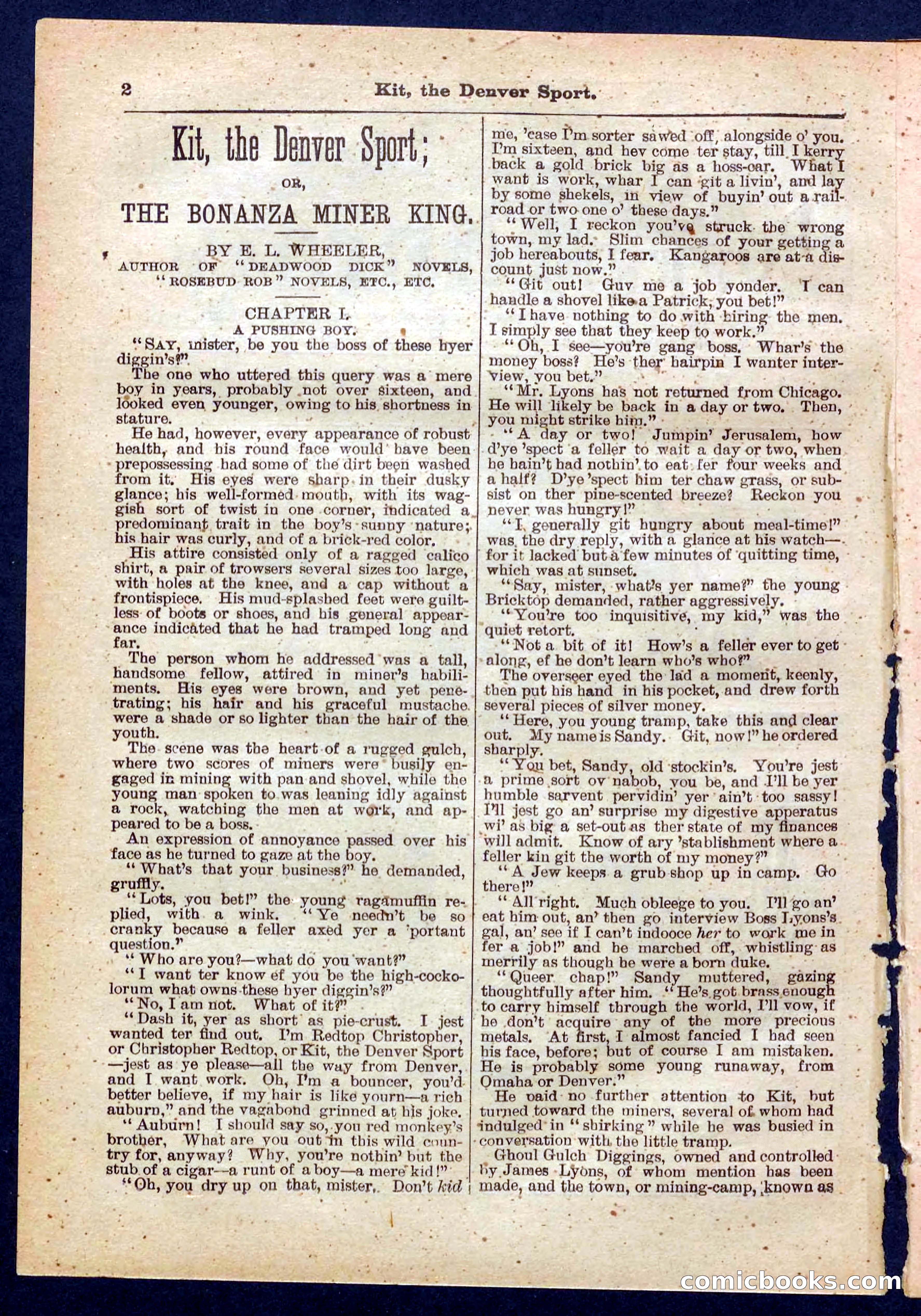 Beadle's Pocket Library No. 324 — page 2 of 32