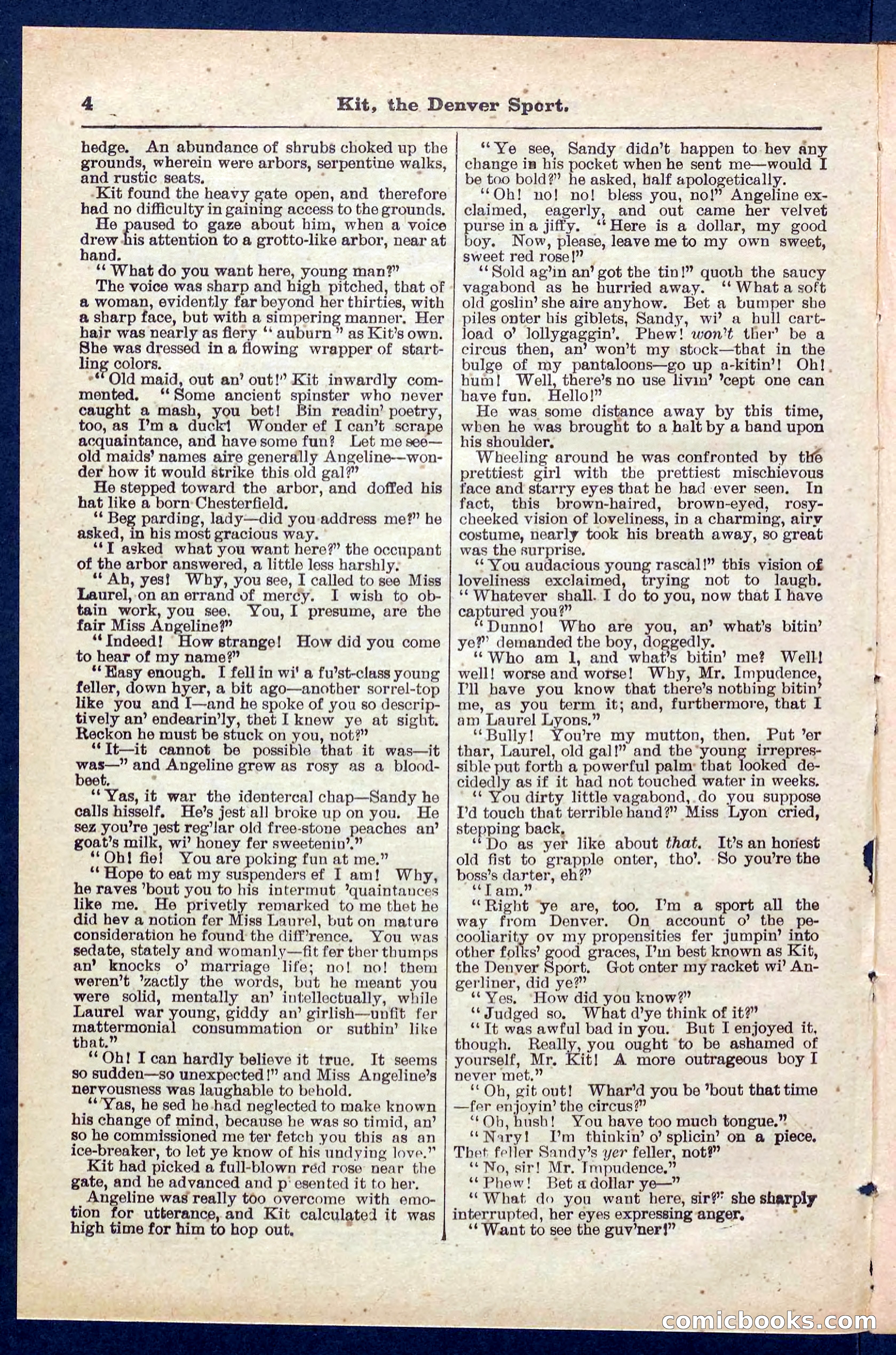 Beadle's Pocket Library No. 324 — page 4 of 32