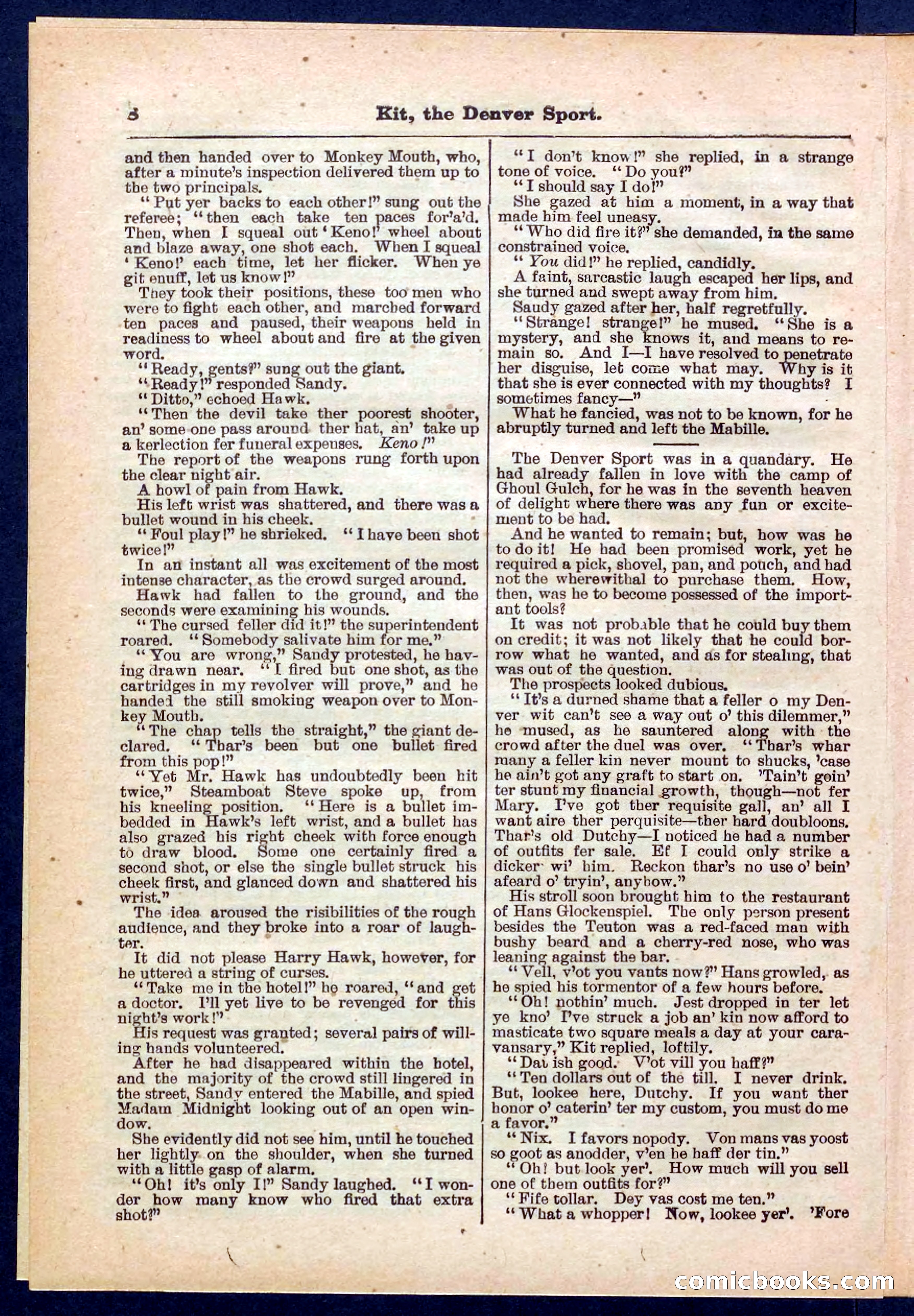 Beadle's Pocket Library No. 324 — page 8 of 32