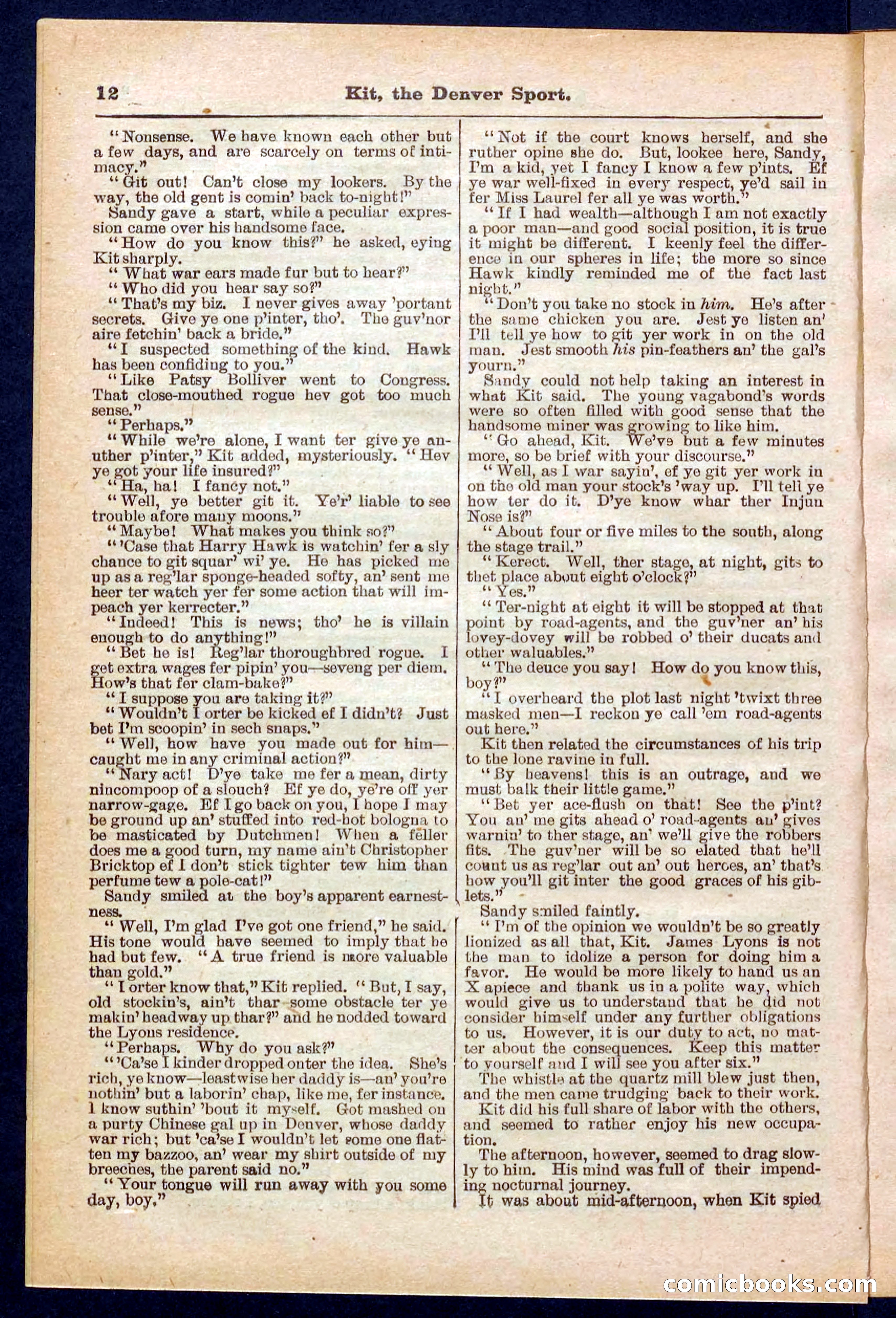 Beadle's Pocket Library No. 324 — page 12 of 32