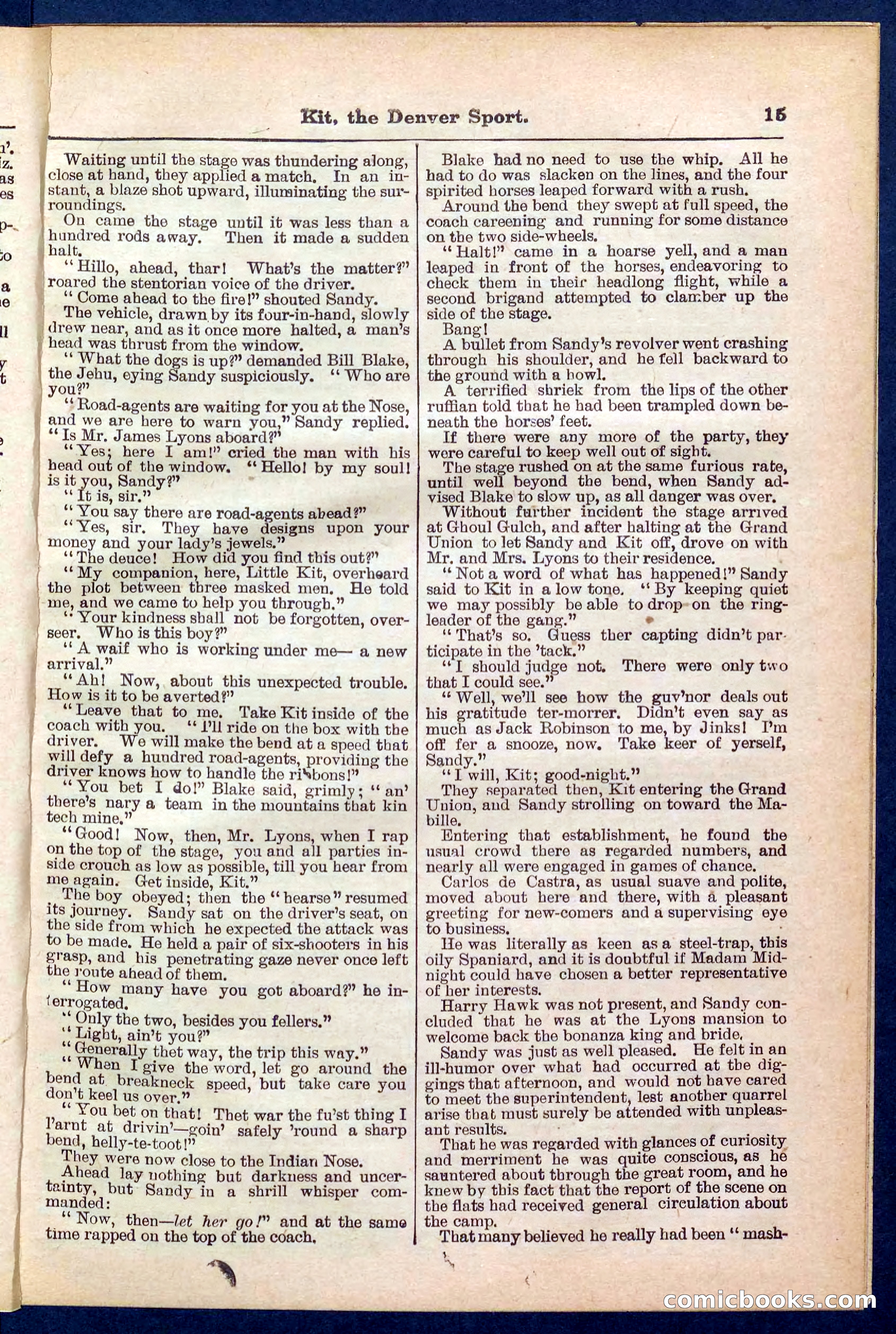 Beadle's Pocket Library No. 324 — page 15 of 32
