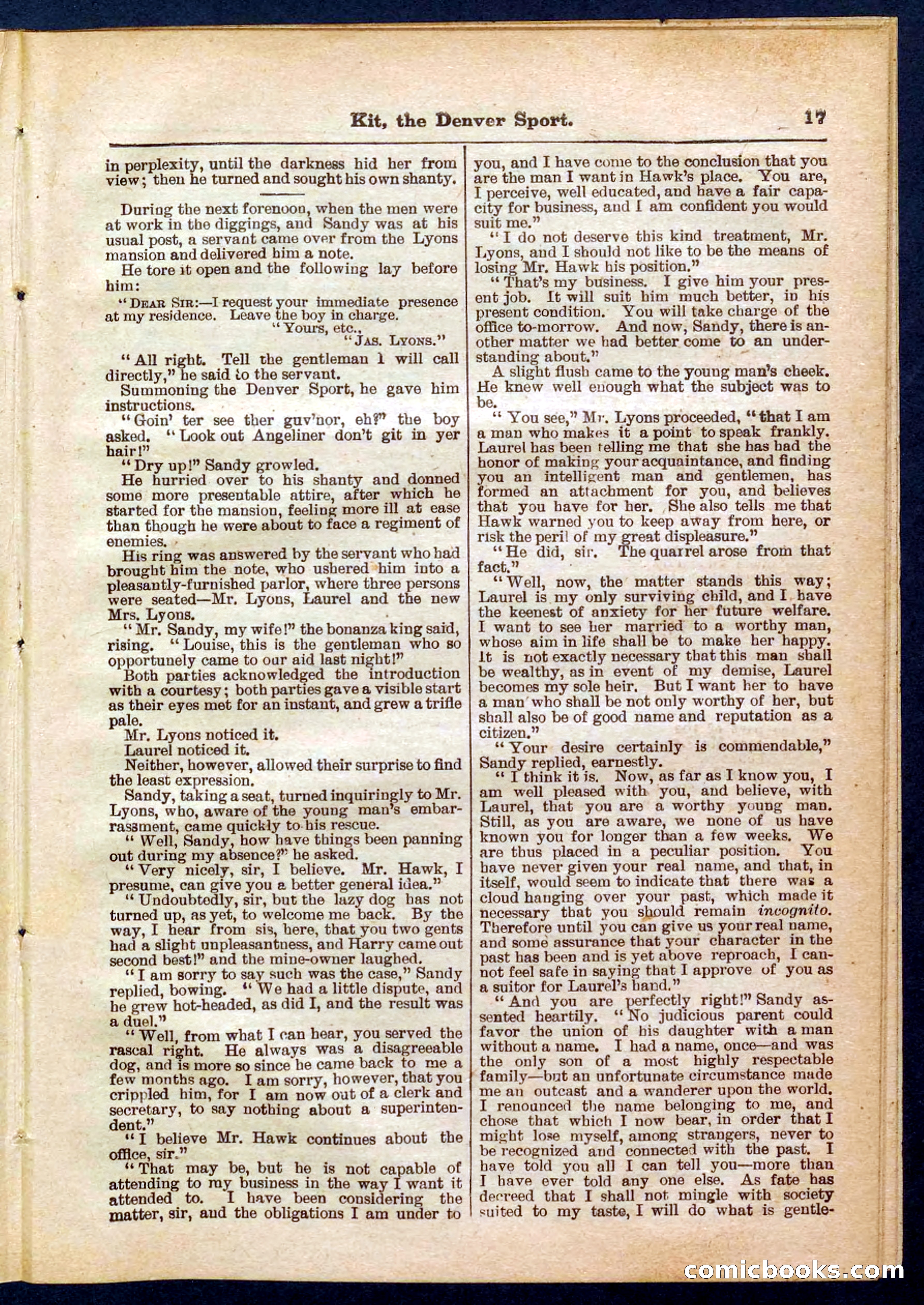 Beadle's Pocket Library No. 324 — page 17 of 32