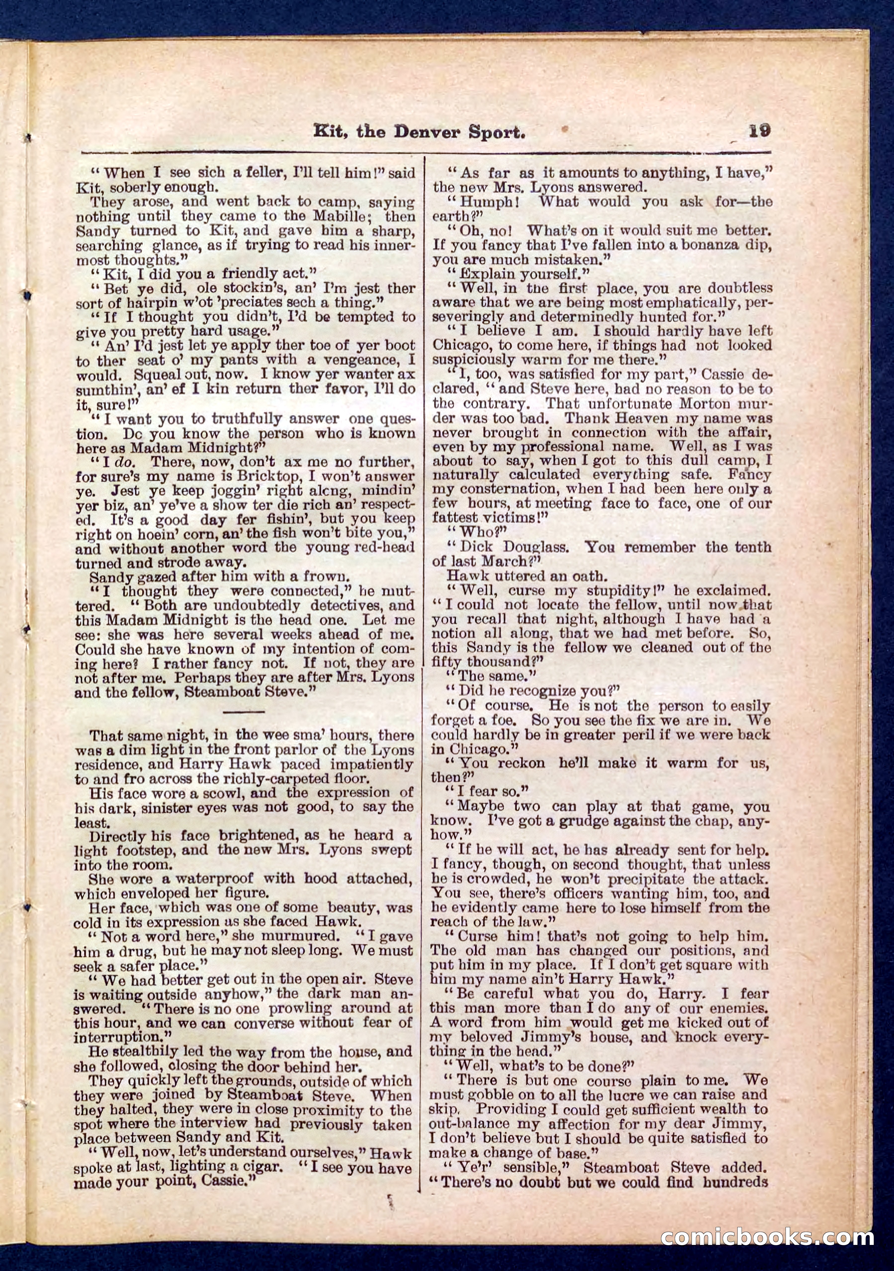 Beadle's Pocket Library No. 324 — page 19 of 32