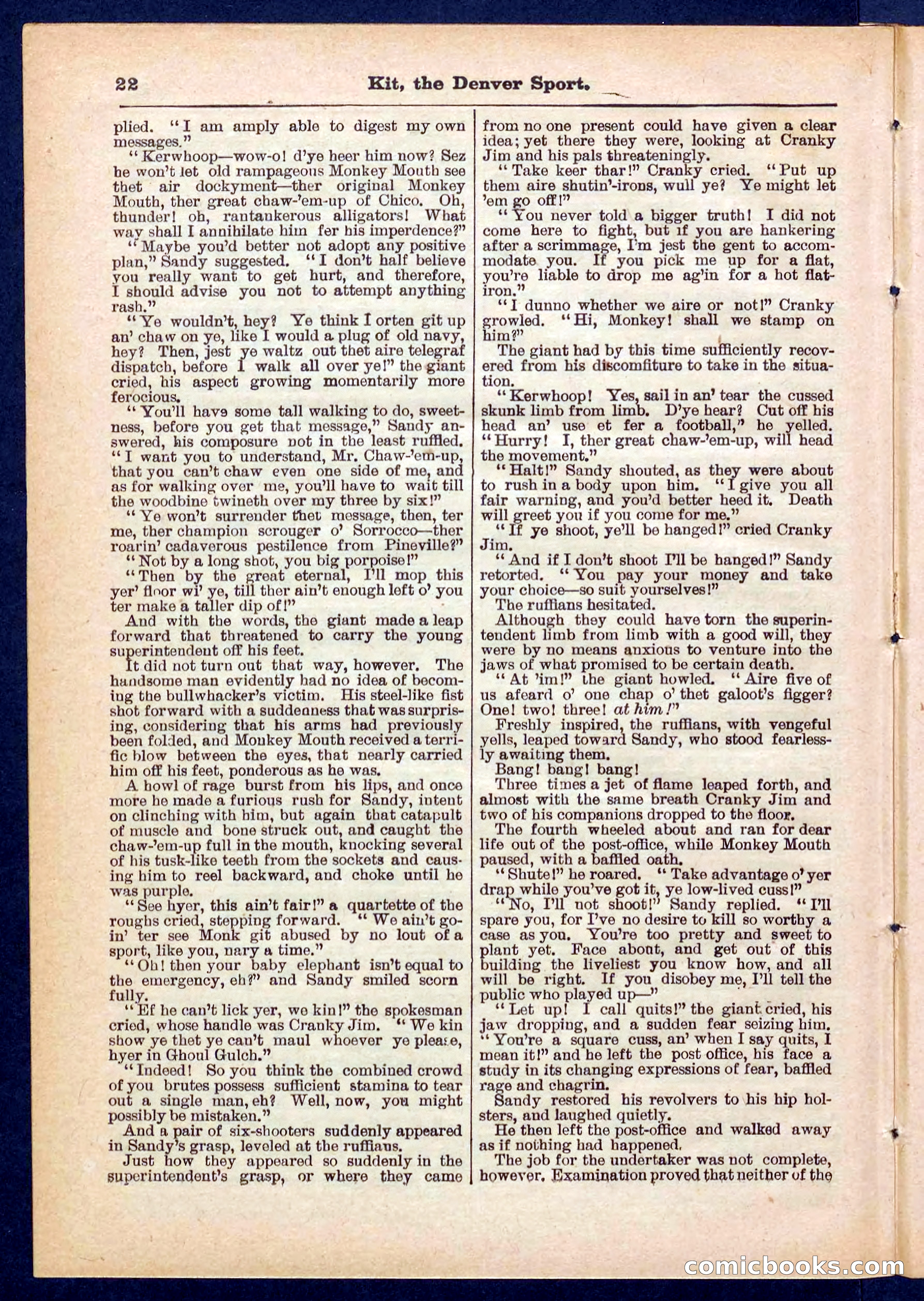Beadle's Pocket Library No. 324 — page 22 of 32
