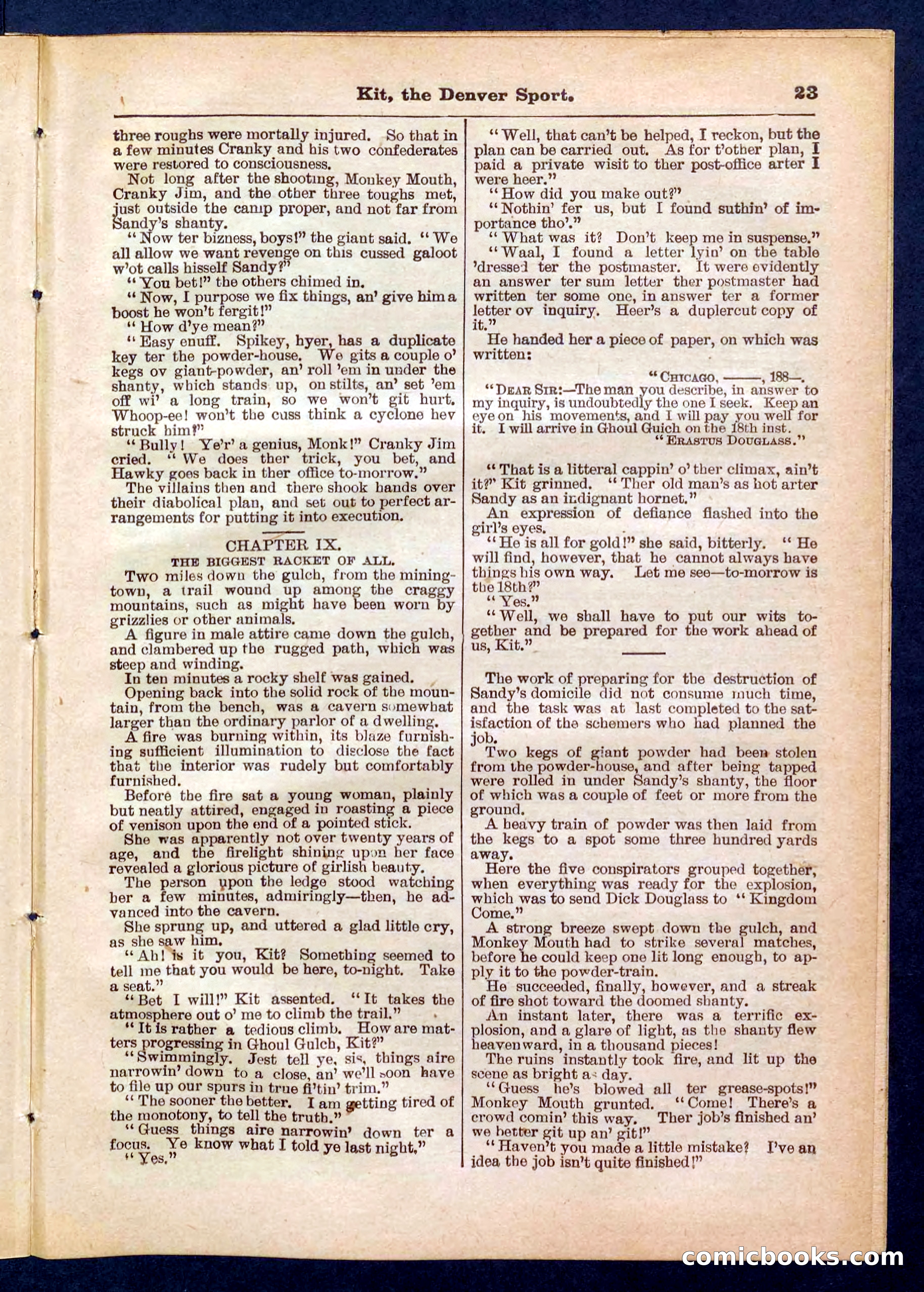 Beadle's Pocket Library No. 324 — page 23 of 32