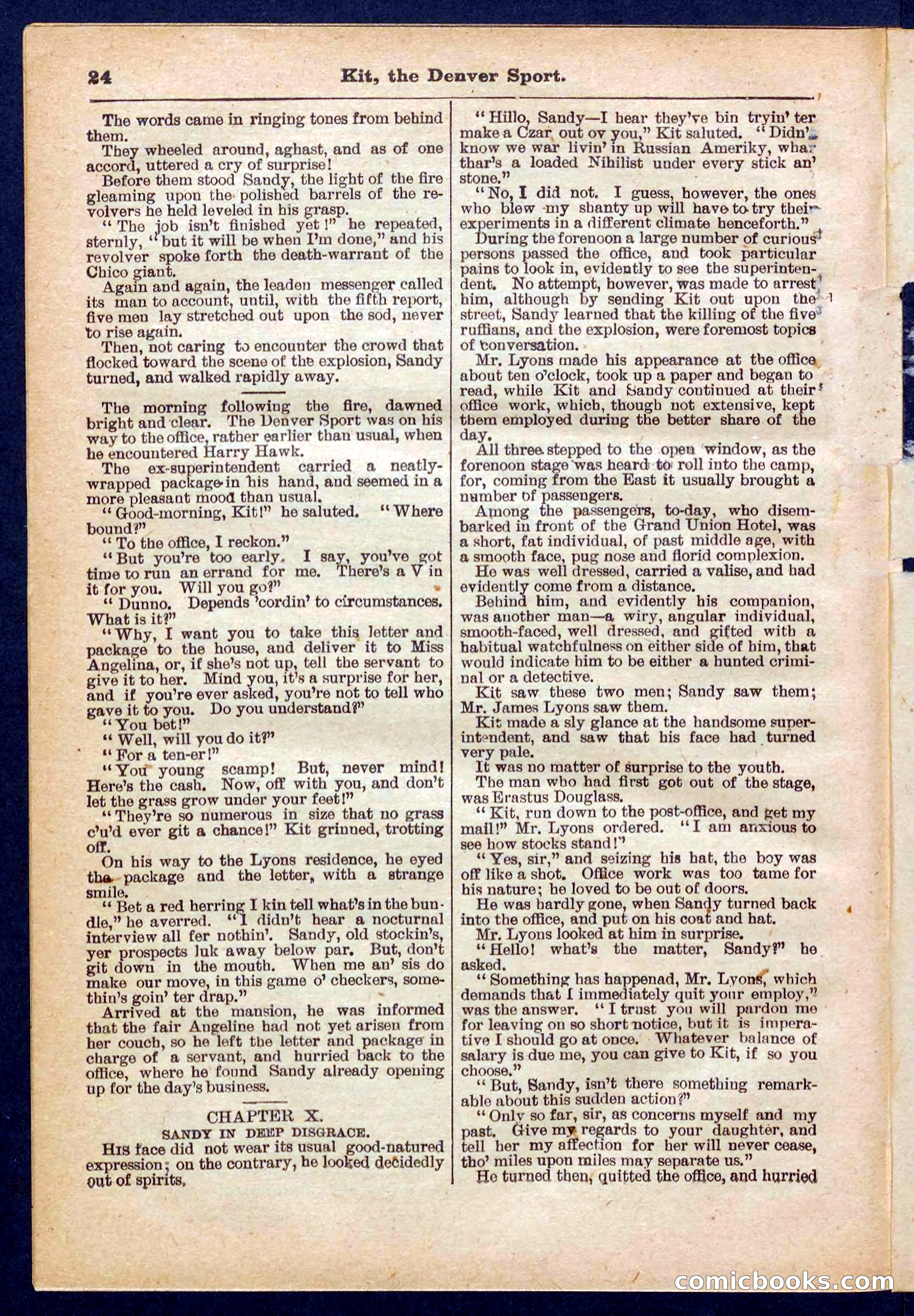 Beadle's Pocket Library No. 324 — page 24 of 32