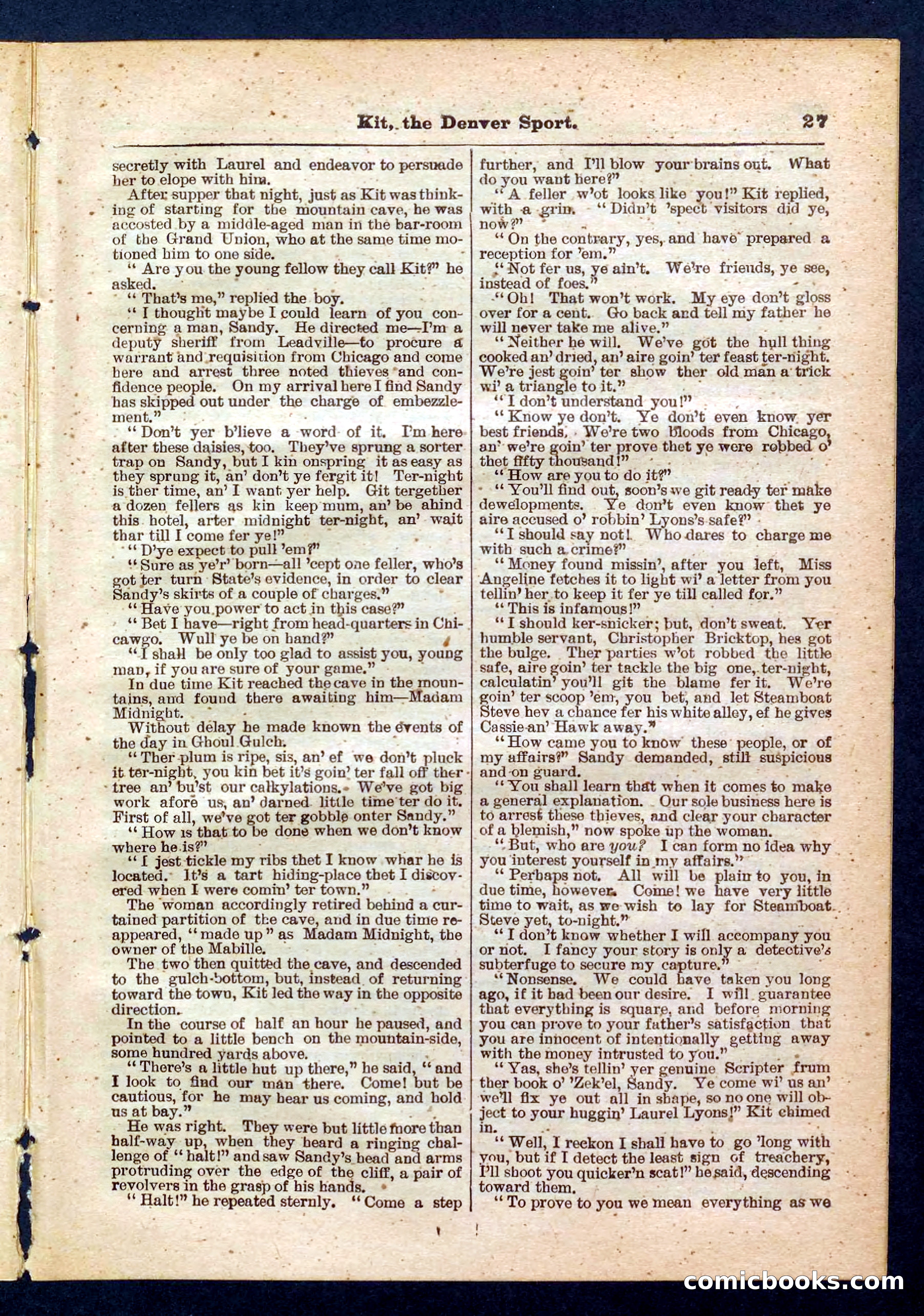 Beadle's Pocket Library No. 324 — page 27 of 32
