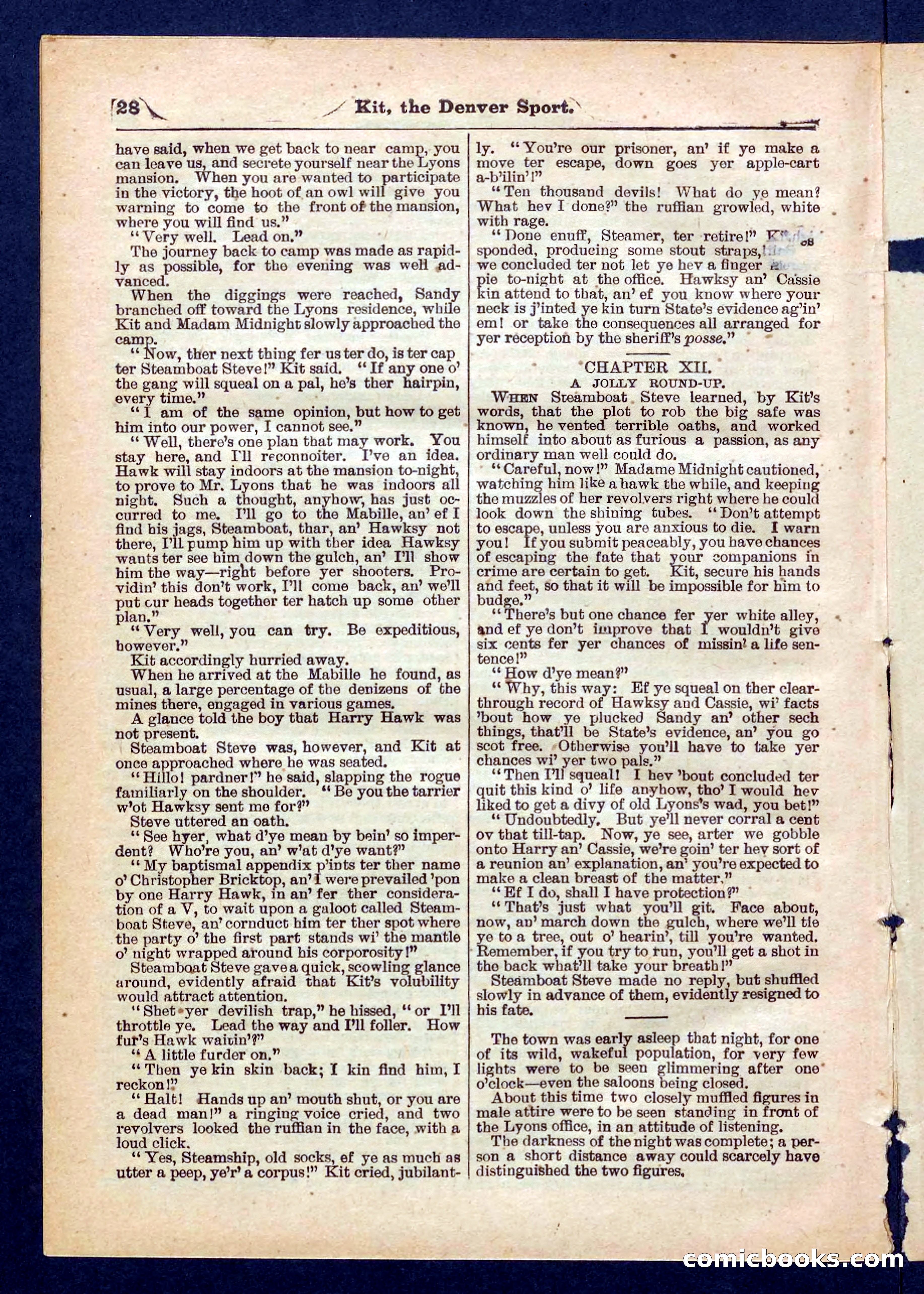Beadle's Pocket Library No. 324 — page 28 of 32