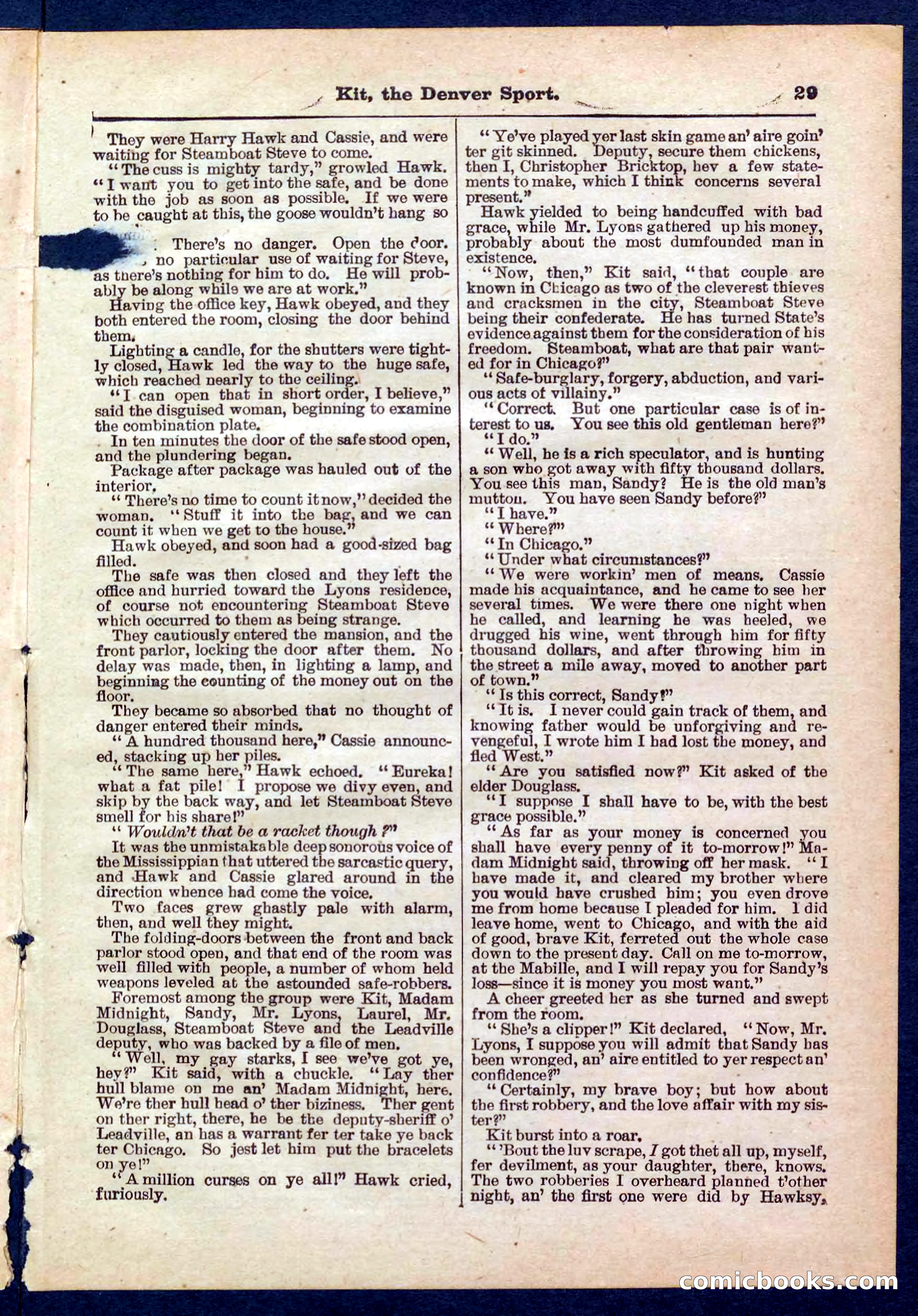 Beadle's Pocket Library No. 324 — page 29 of 32