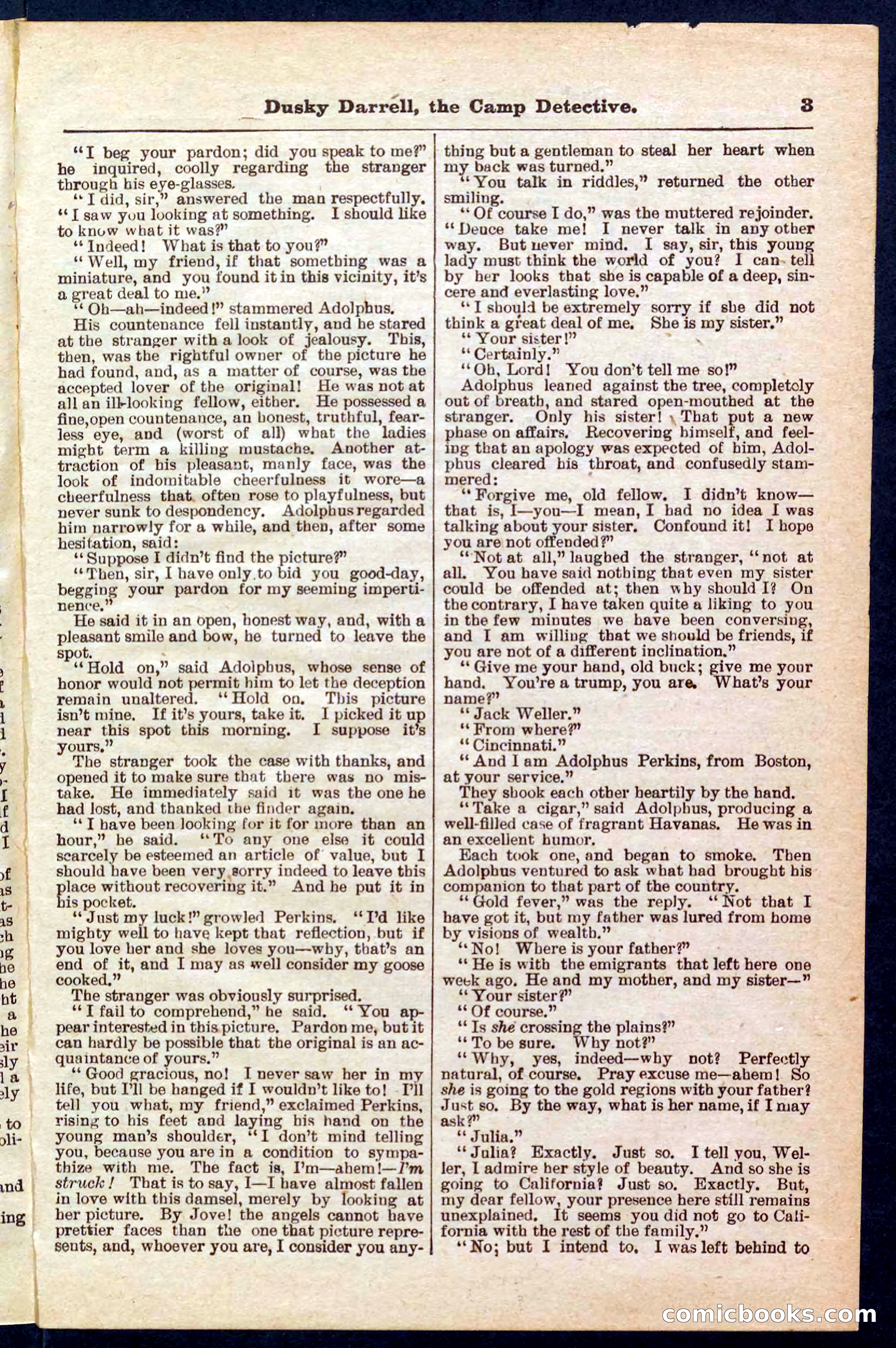 Beadle's Pocket Library No. 325 — page 3 of 32