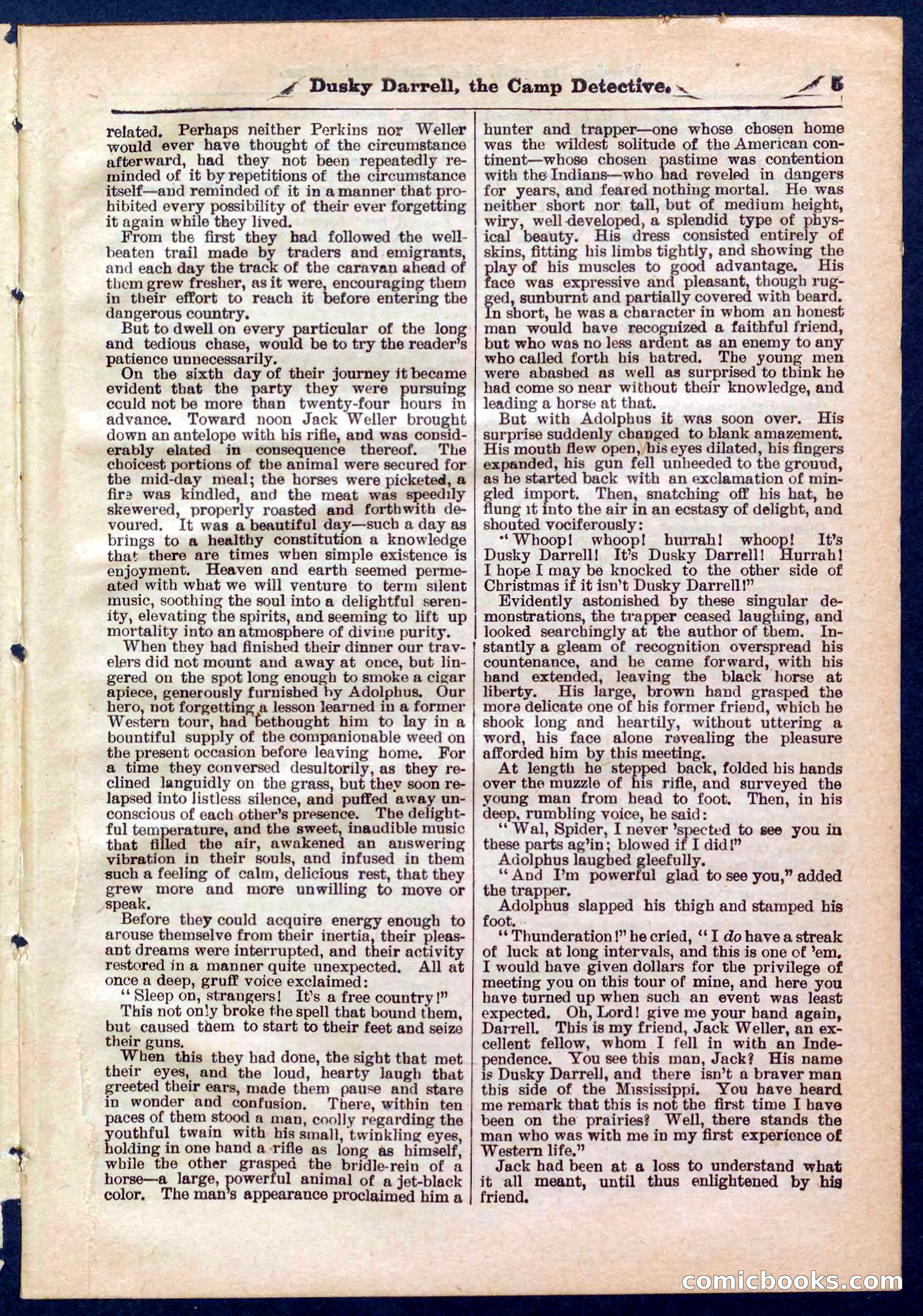 Beadle's Pocket Library No. 325 — page 5 of 32