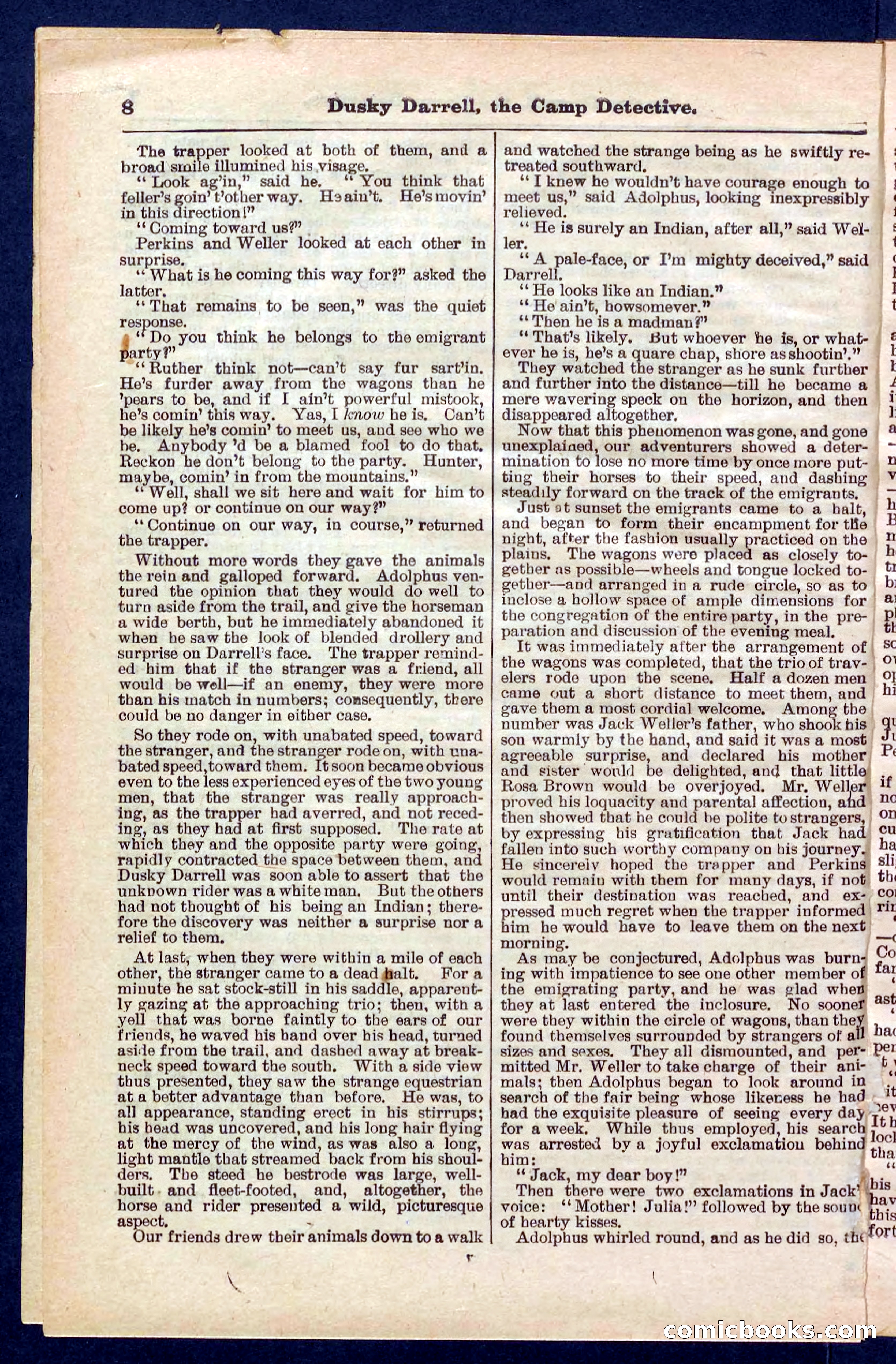 Beadle's Pocket Library No. 325 — page 8 of 32