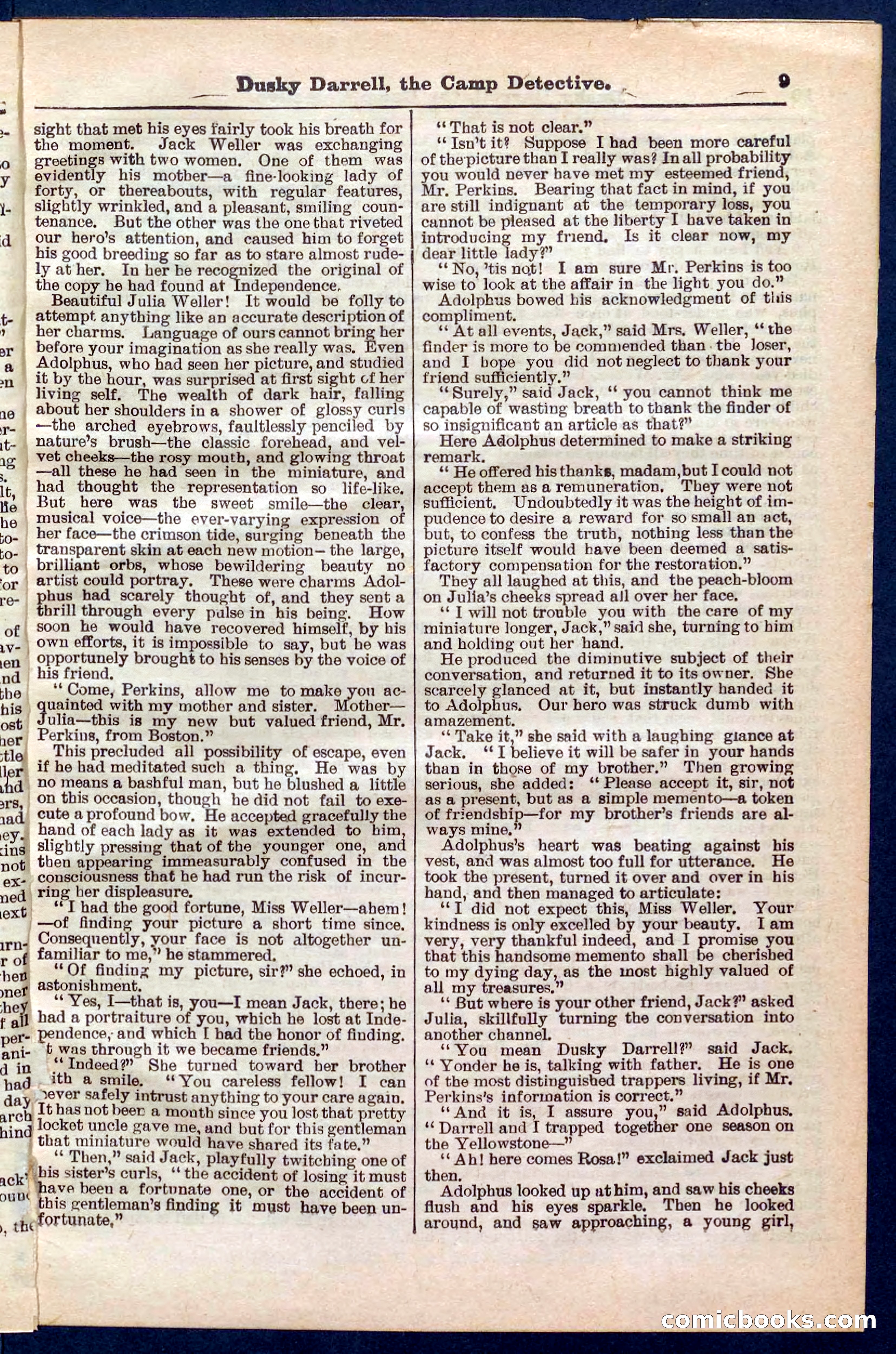 Beadle's Pocket Library No. 325 — page 9 of 32
