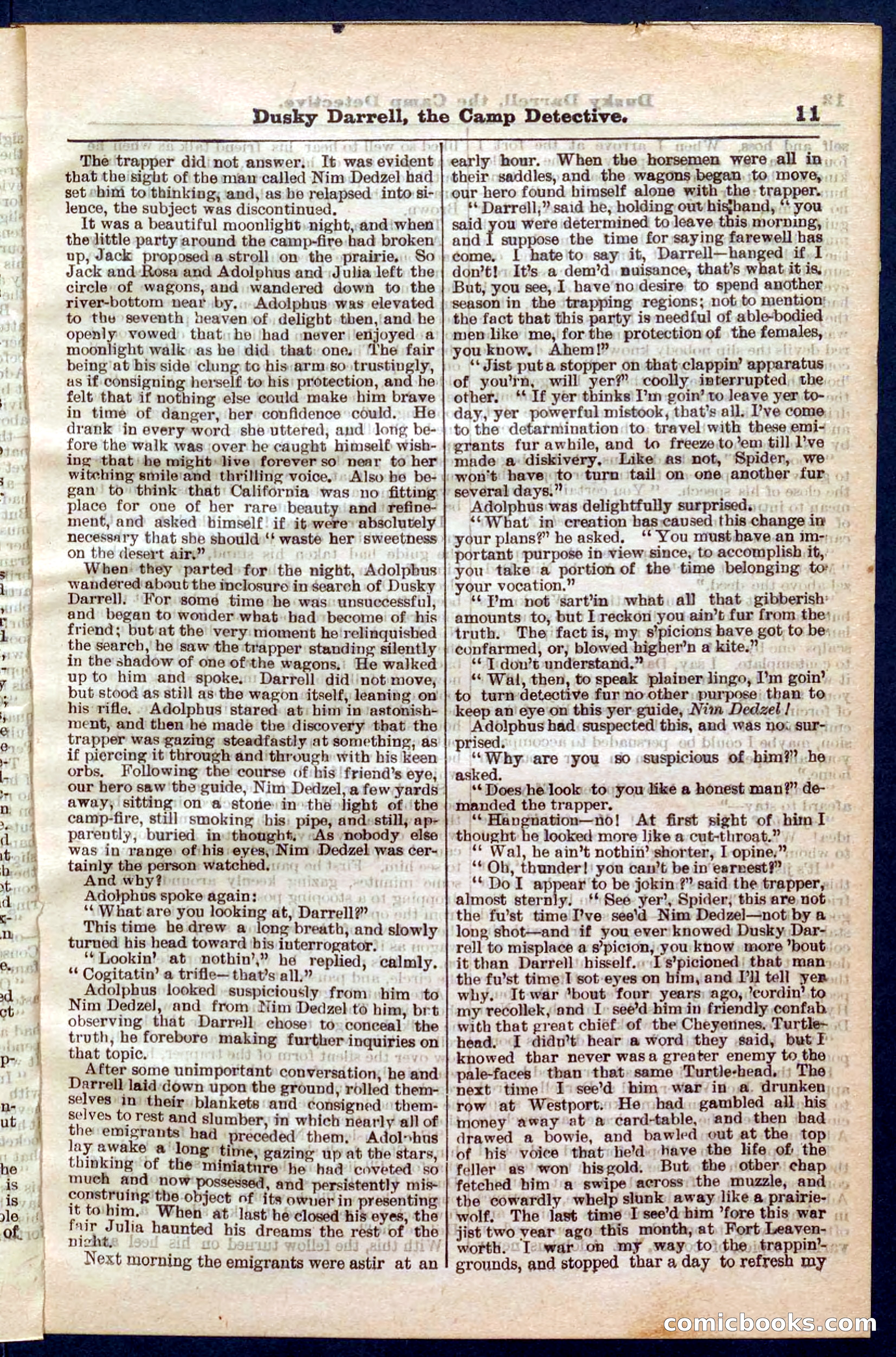 Beadle's Pocket Library No. 325 — page 11 of 32