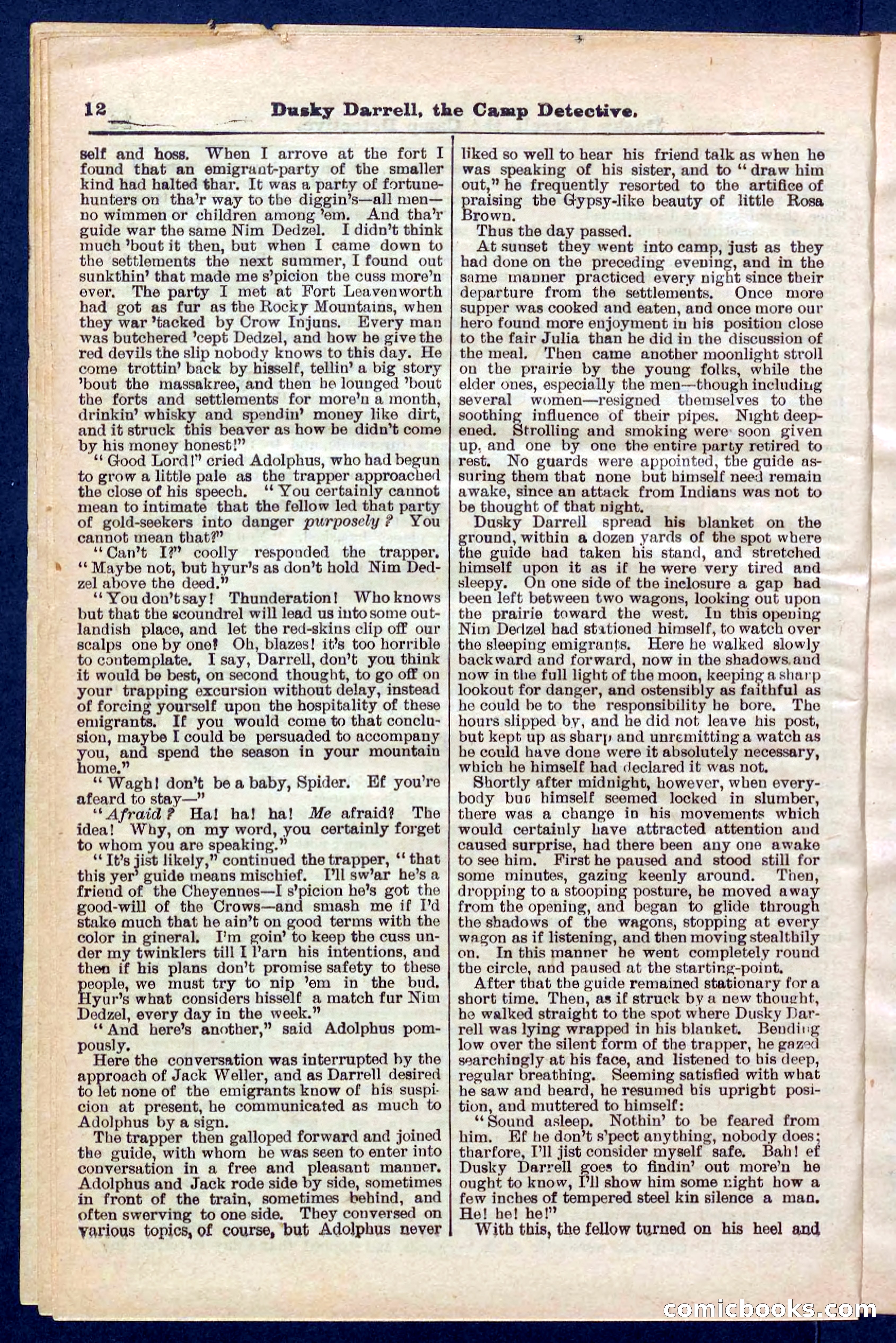 Beadle's Pocket Library No. 325 — page 12 of 32