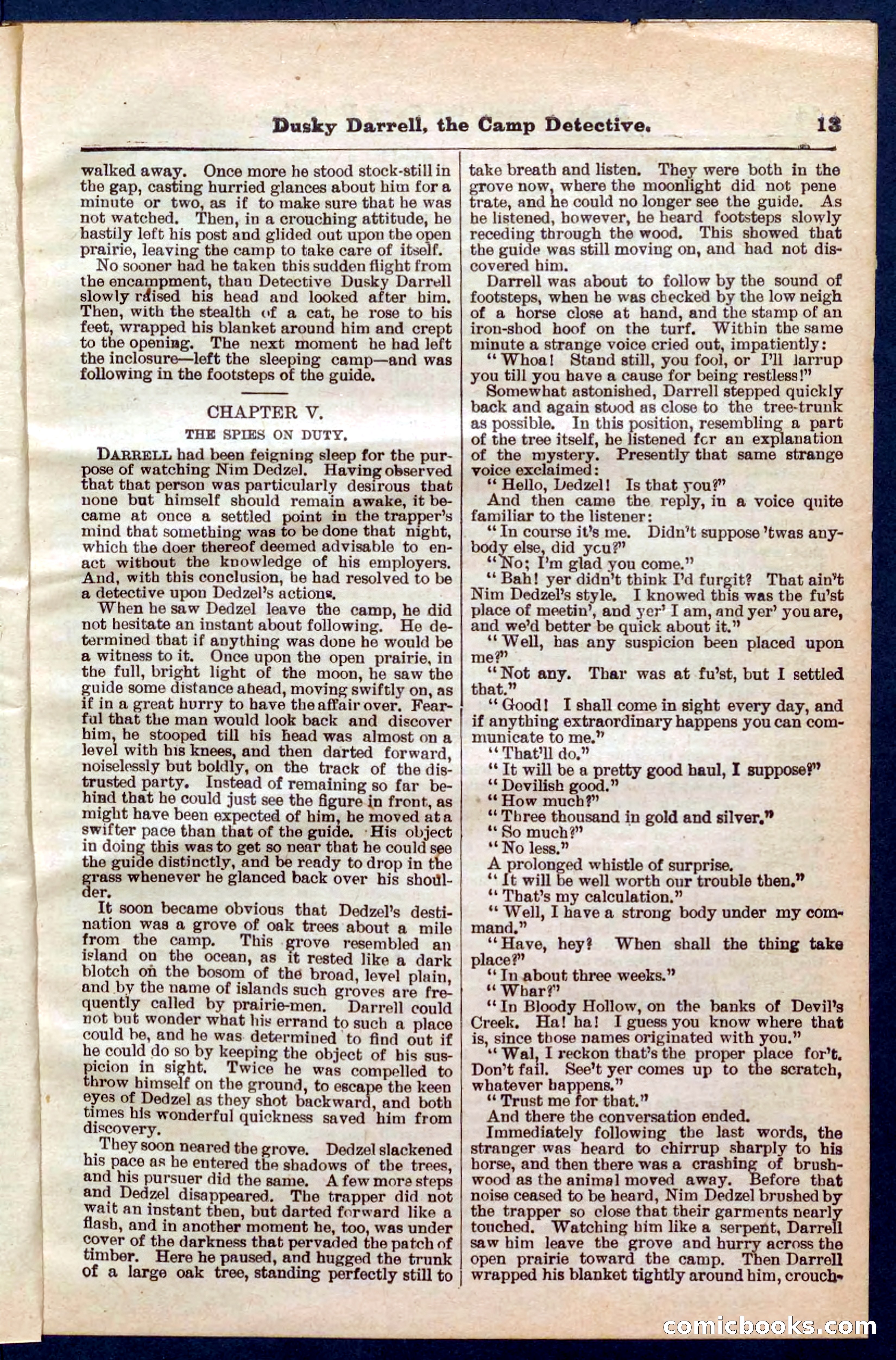 Beadle's Pocket Library No. 325 — page 13 of 32