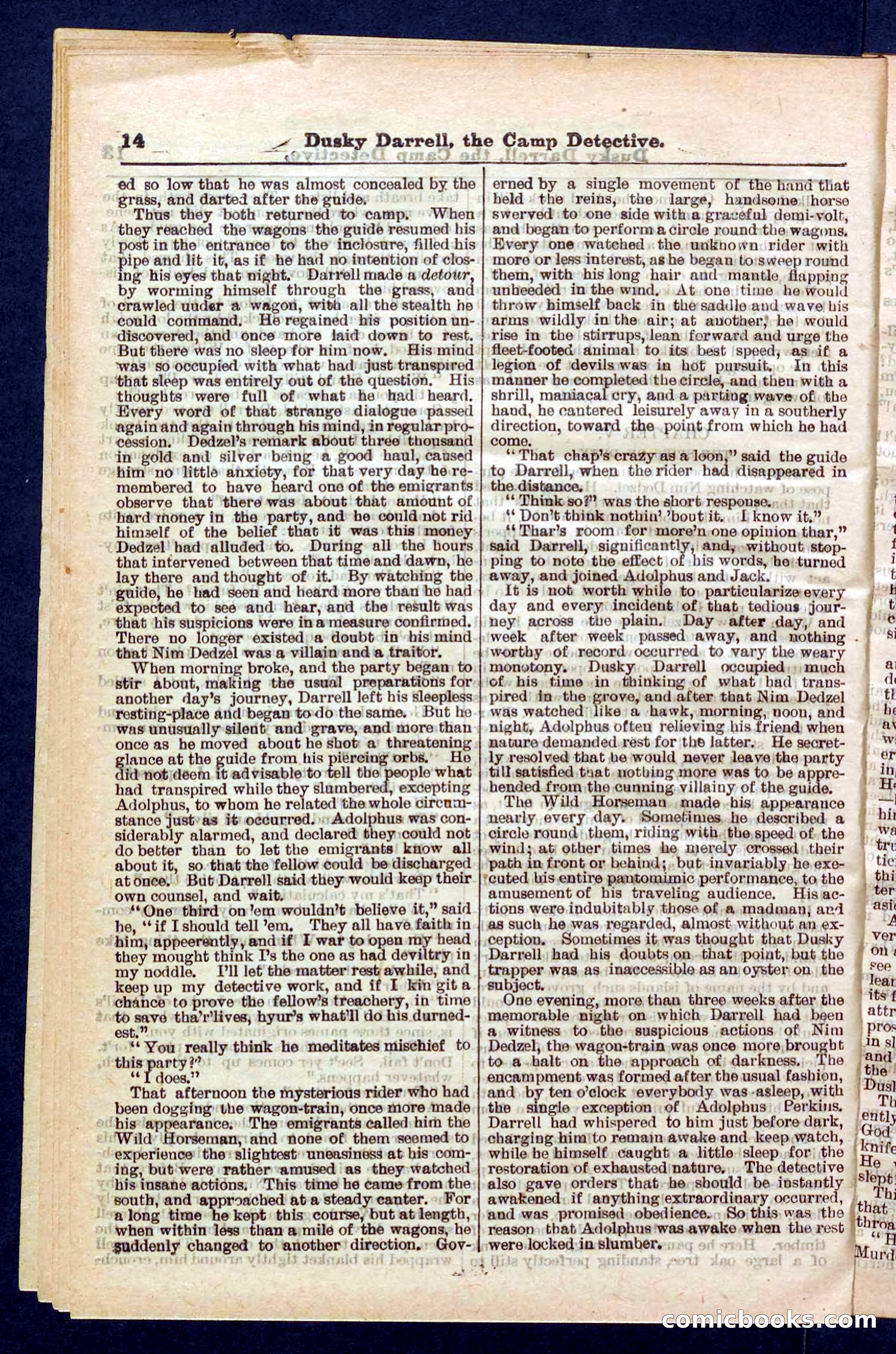 Beadle's Pocket Library No. 325 — page 14 of 32