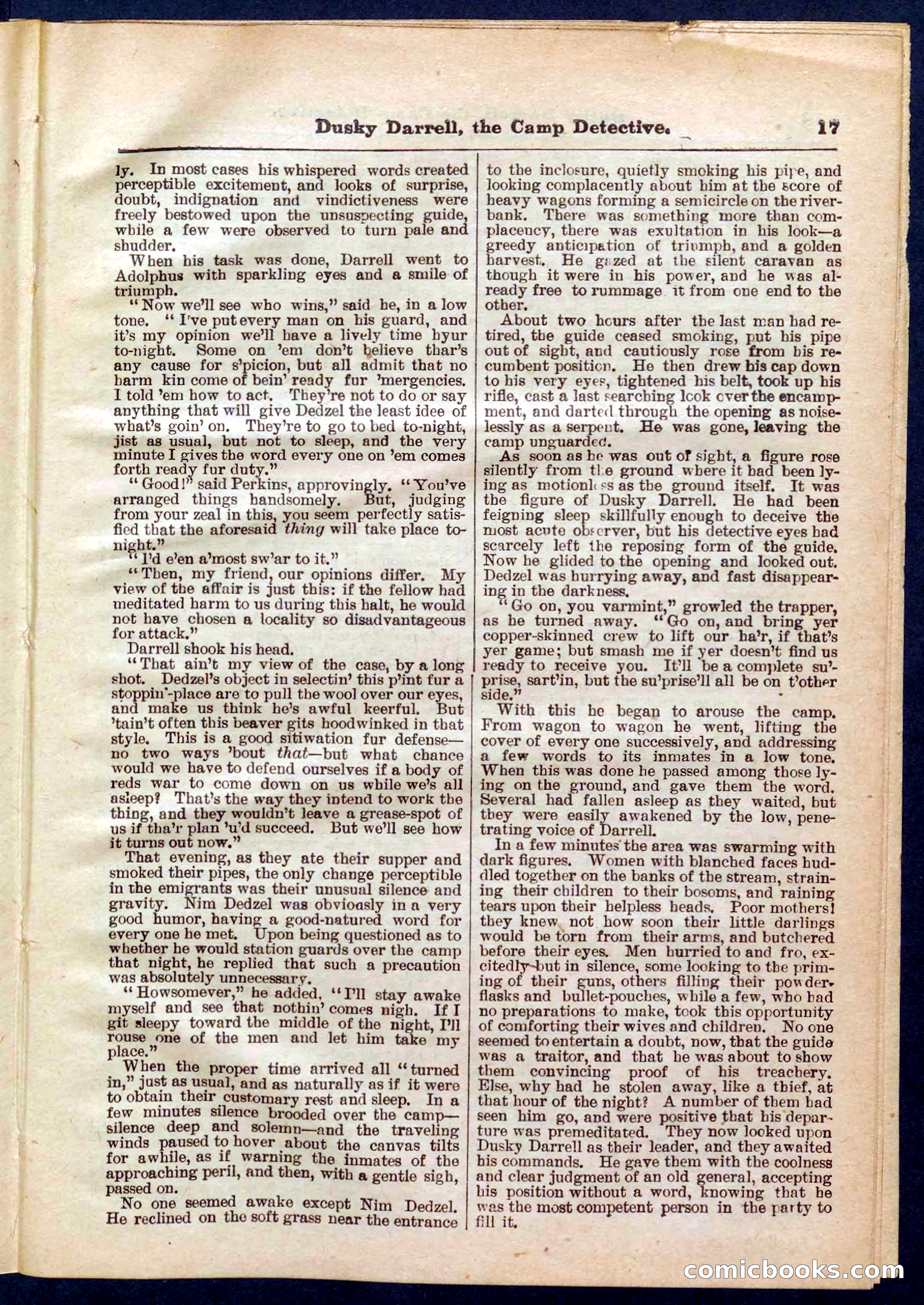 Beadle's Pocket Library No. 325 — page 17 of 32