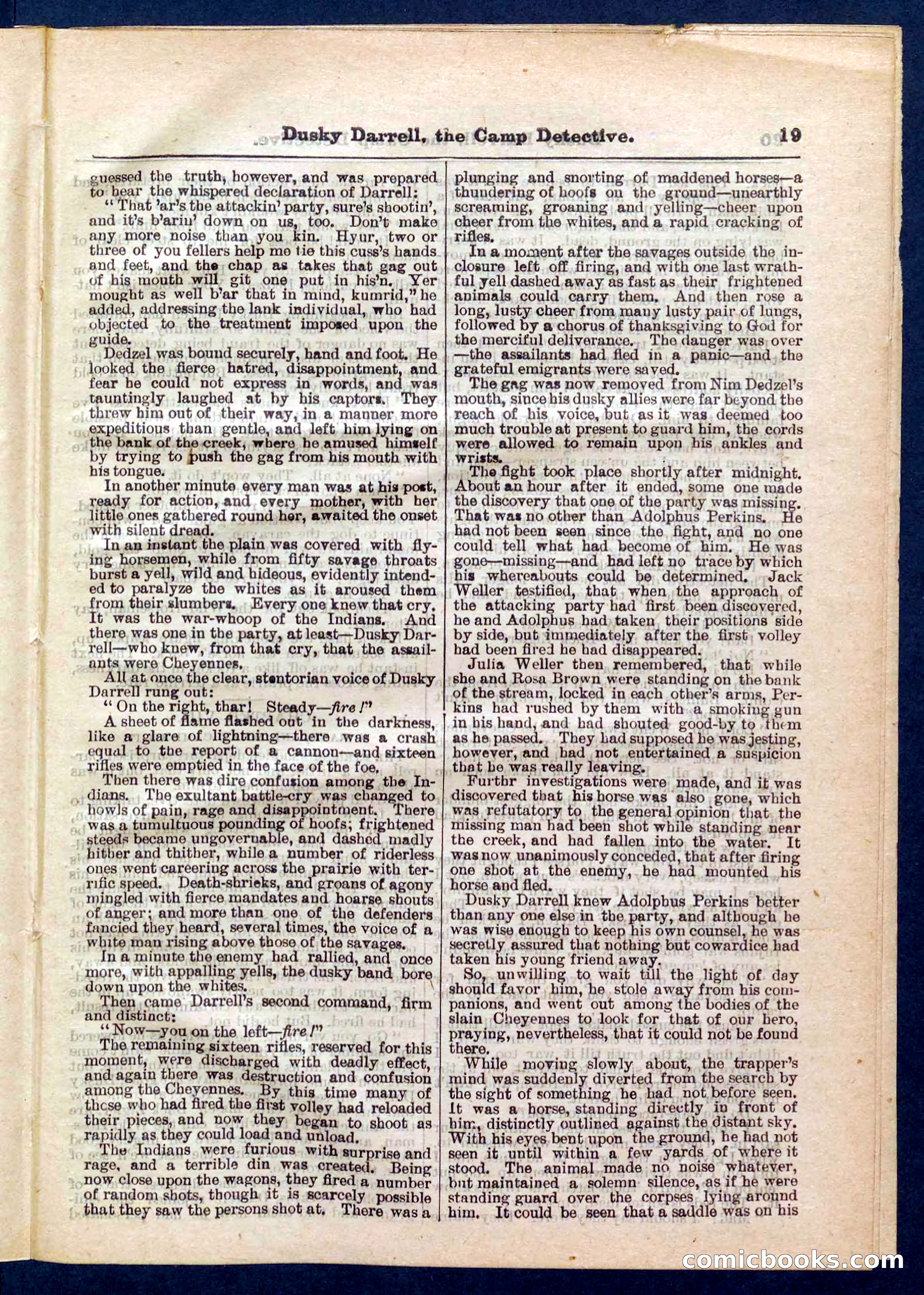 Beadle's Pocket Library No. 325 — page 19 of 32