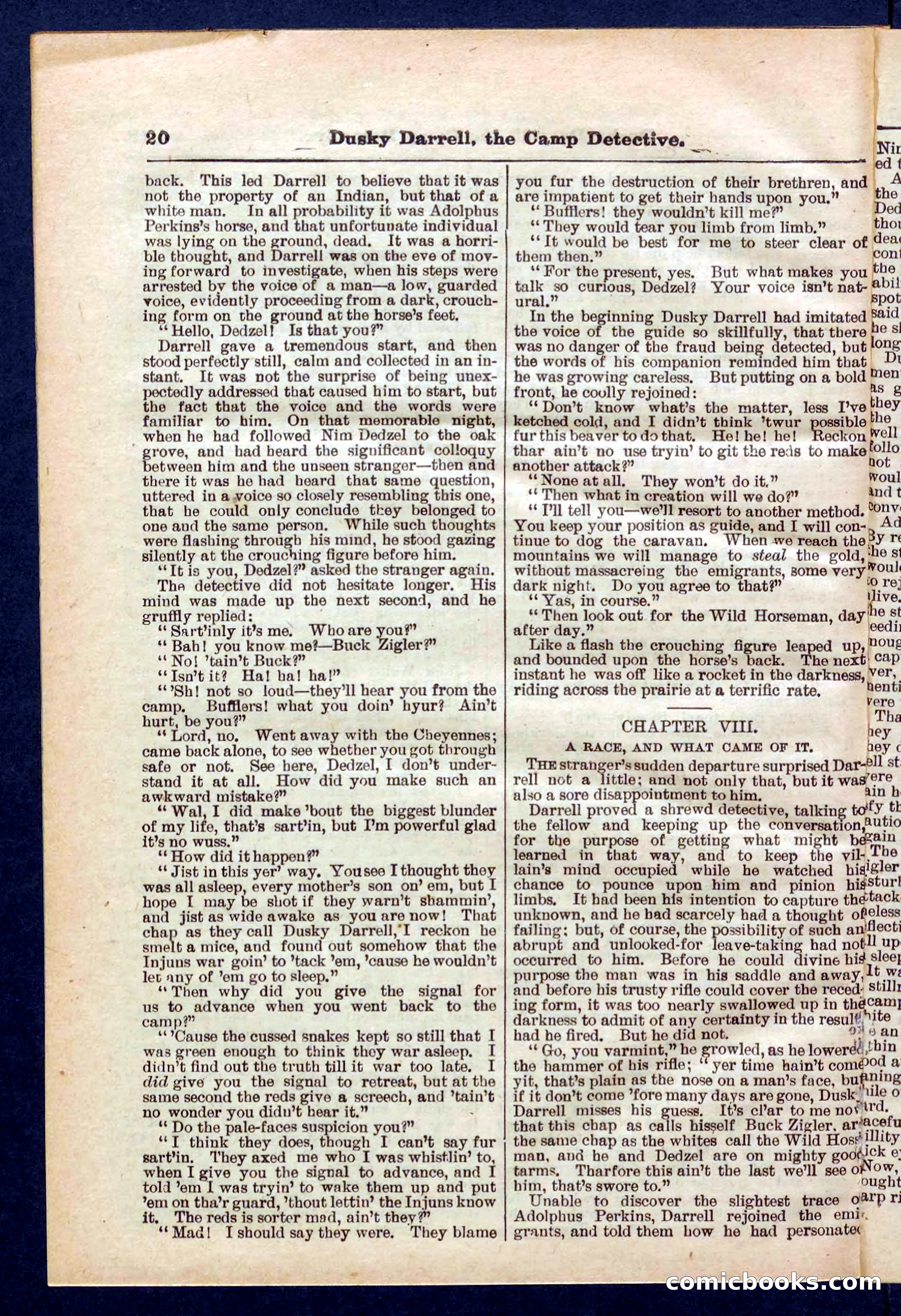 Beadle's Pocket Library No. 325 — page 20 of 32