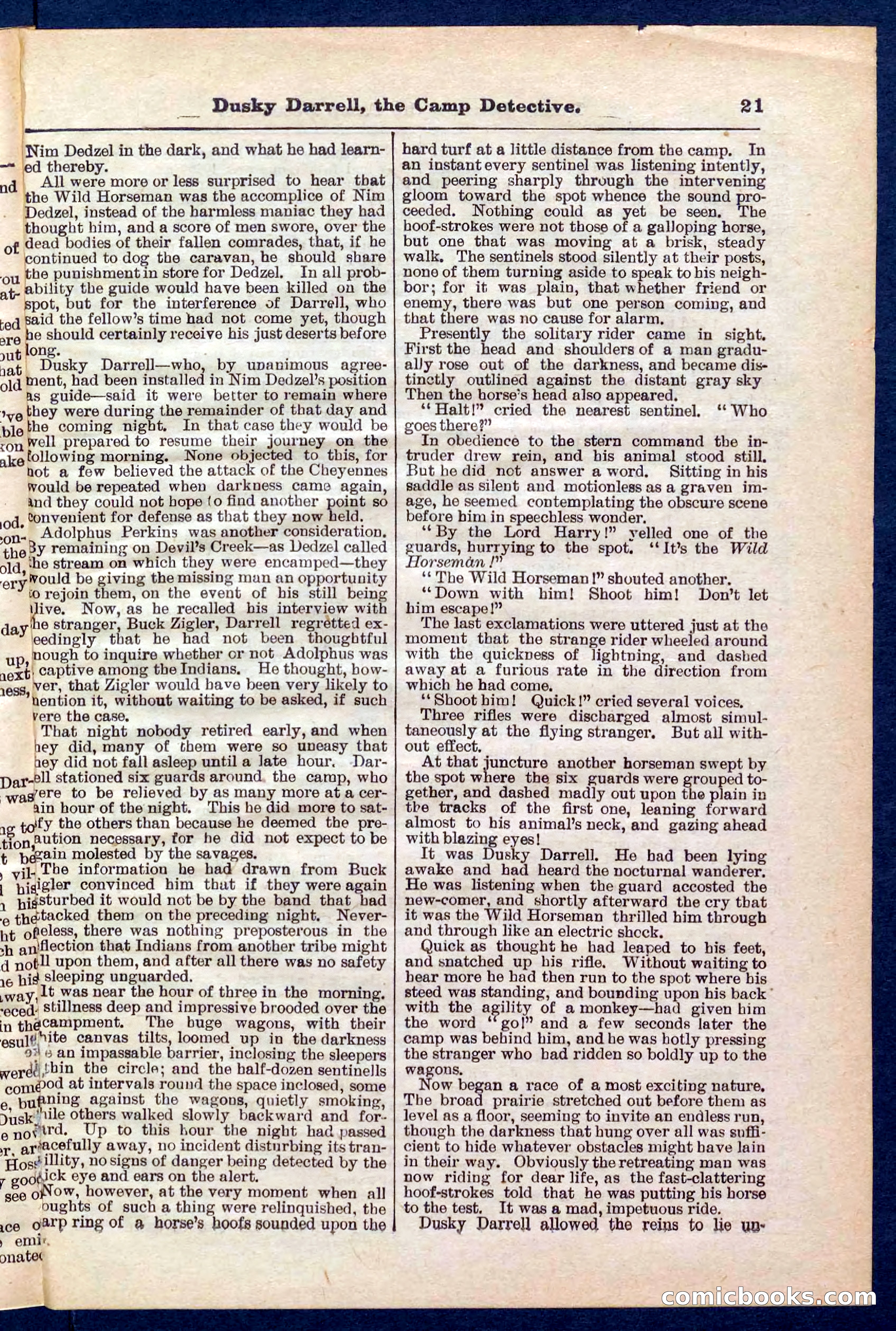 Beadle's Pocket Library No. 325 — page 21 of 32
