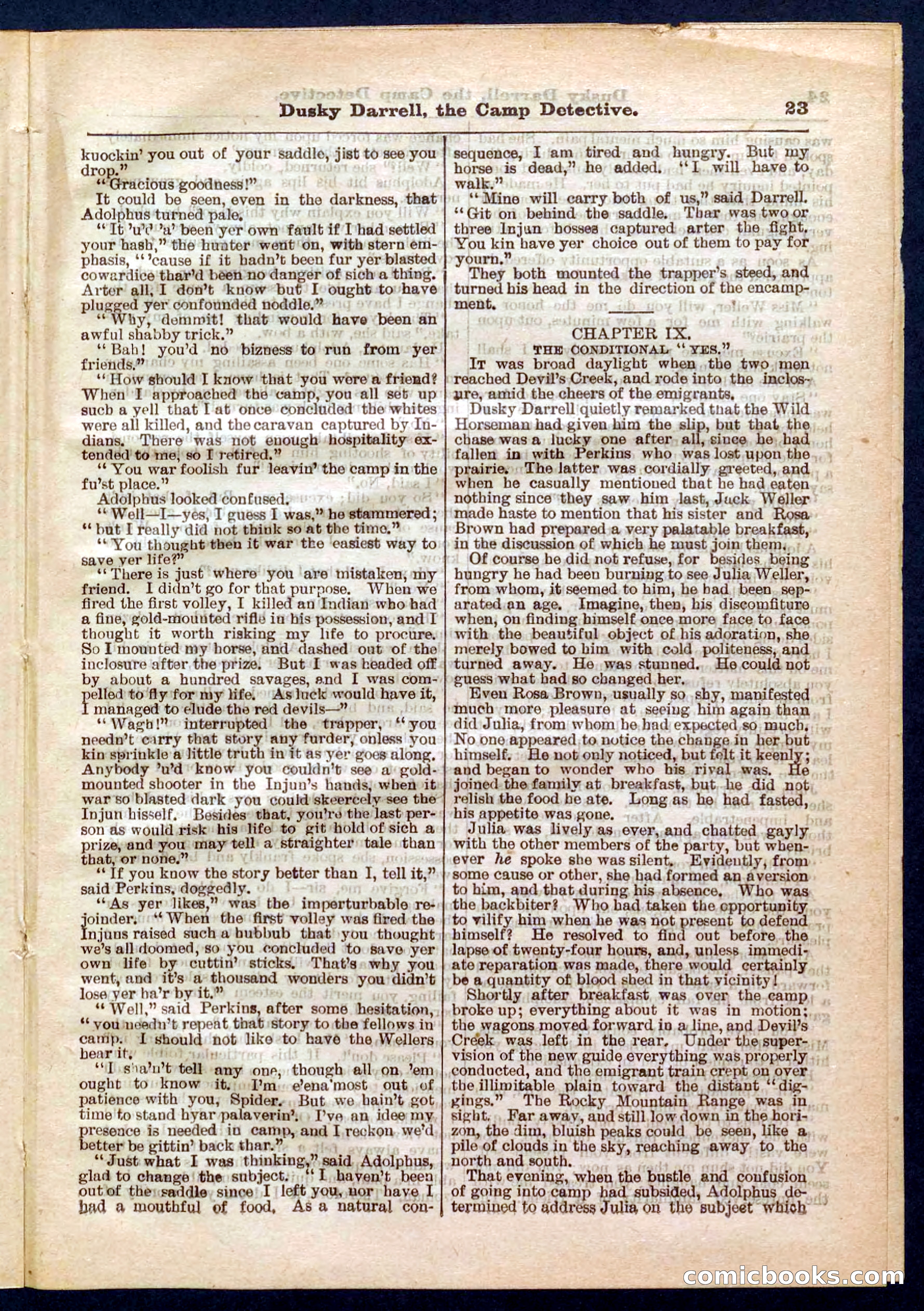 Beadle's Pocket Library No. 325 — page 23 of 32