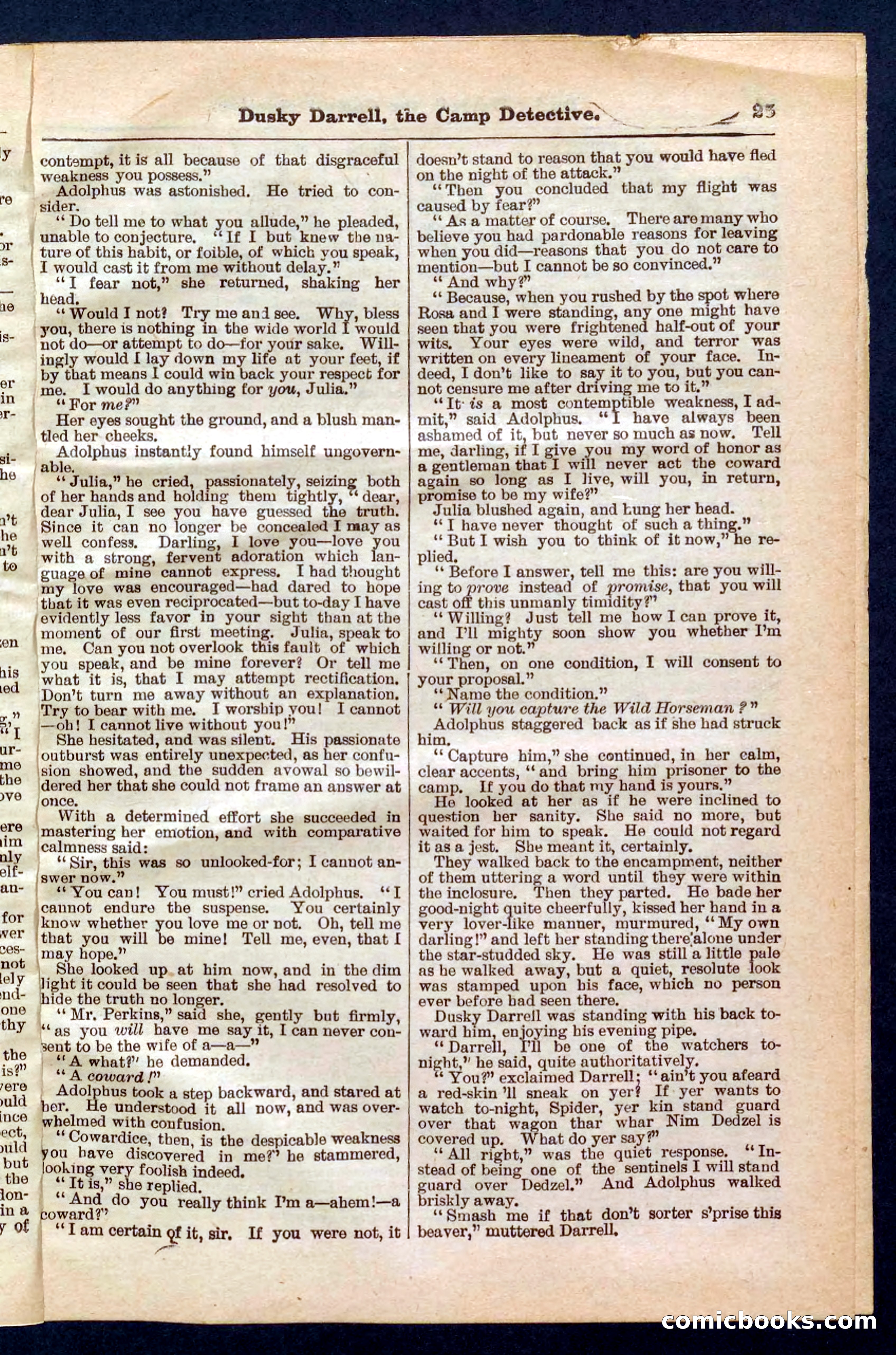 Beadle's Pocket Library No. 325 — page 25 of 32