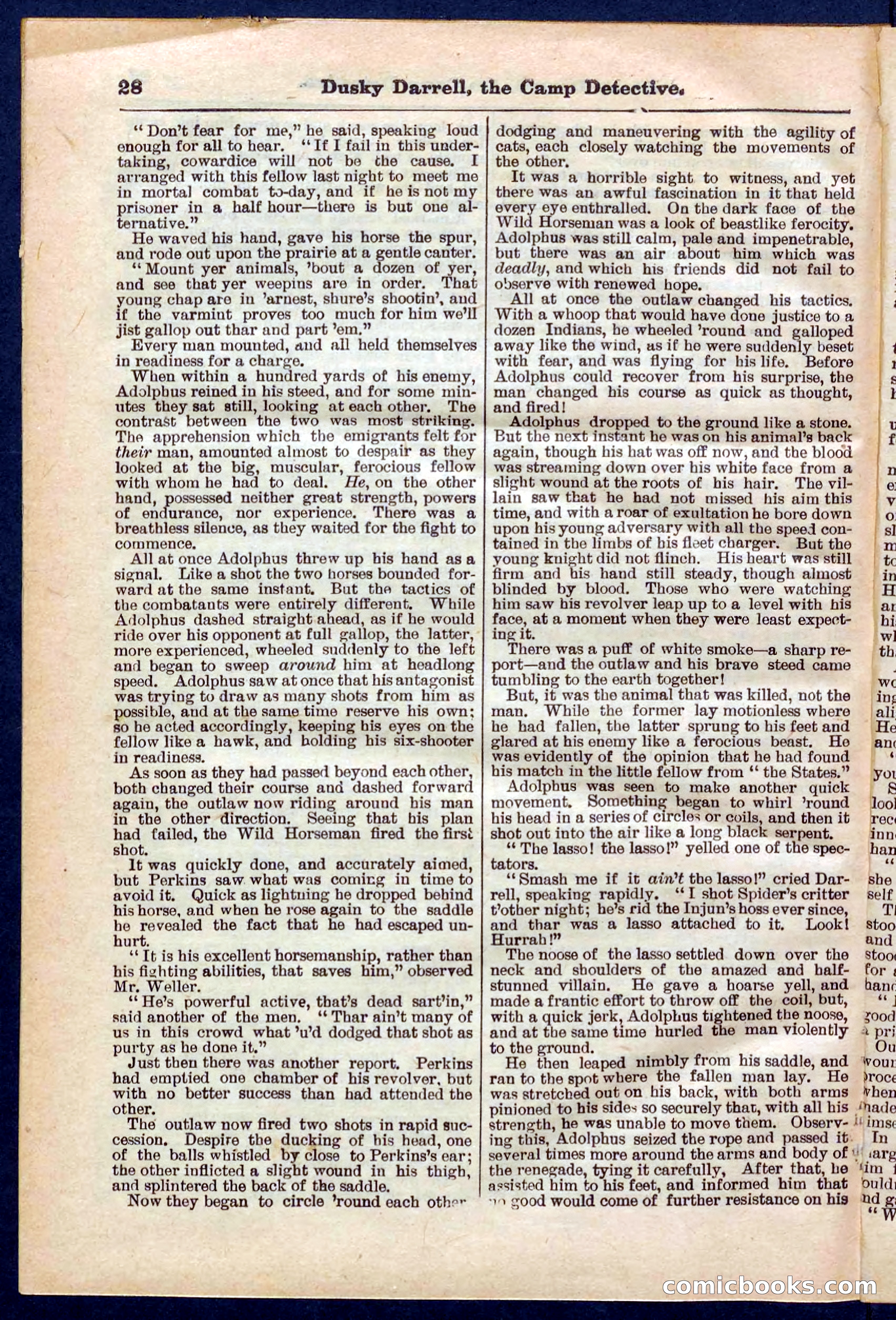 Beadle's Pocket Library No. 325 — page 28 of 32