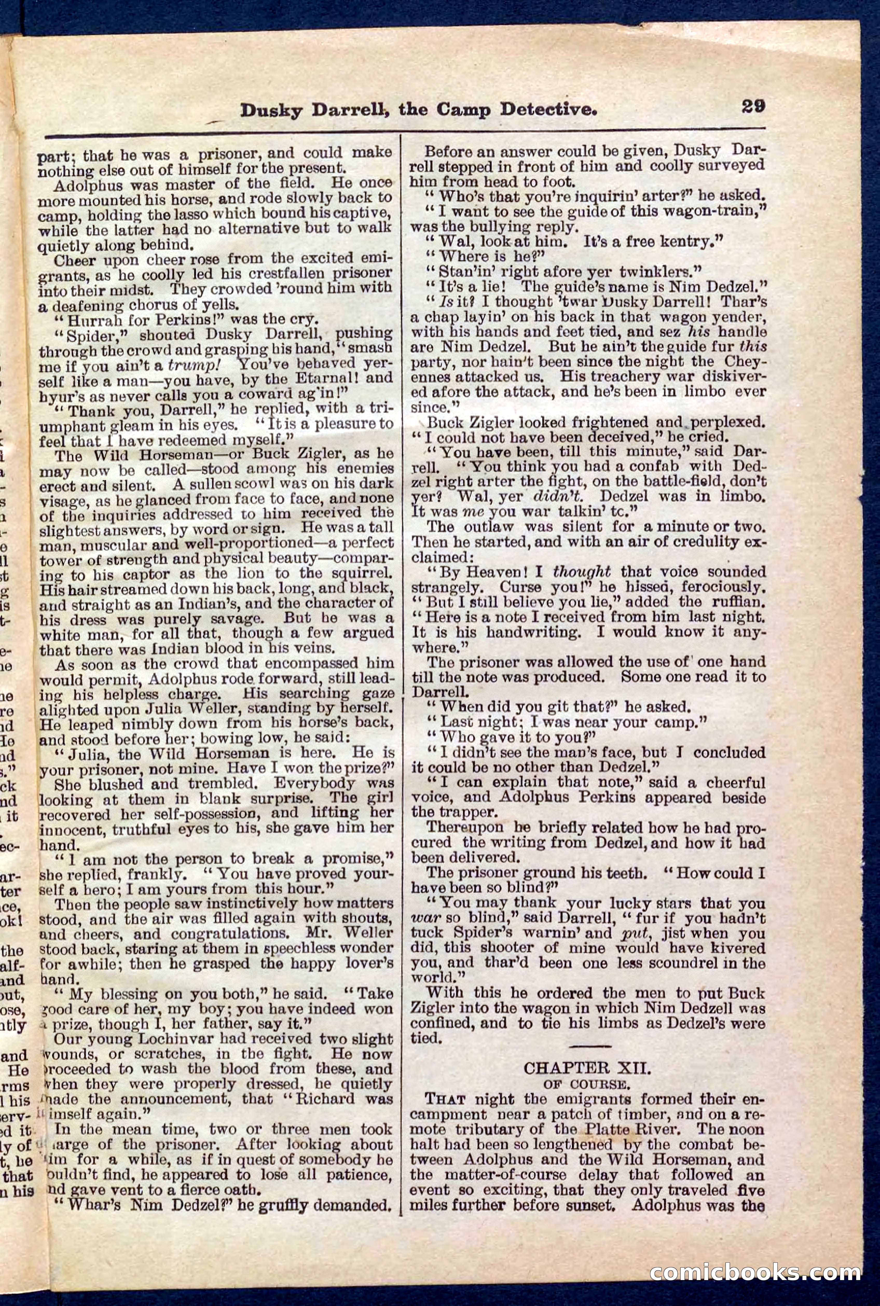 Beadle's Pocket Library No. 325 — page 29 of 32