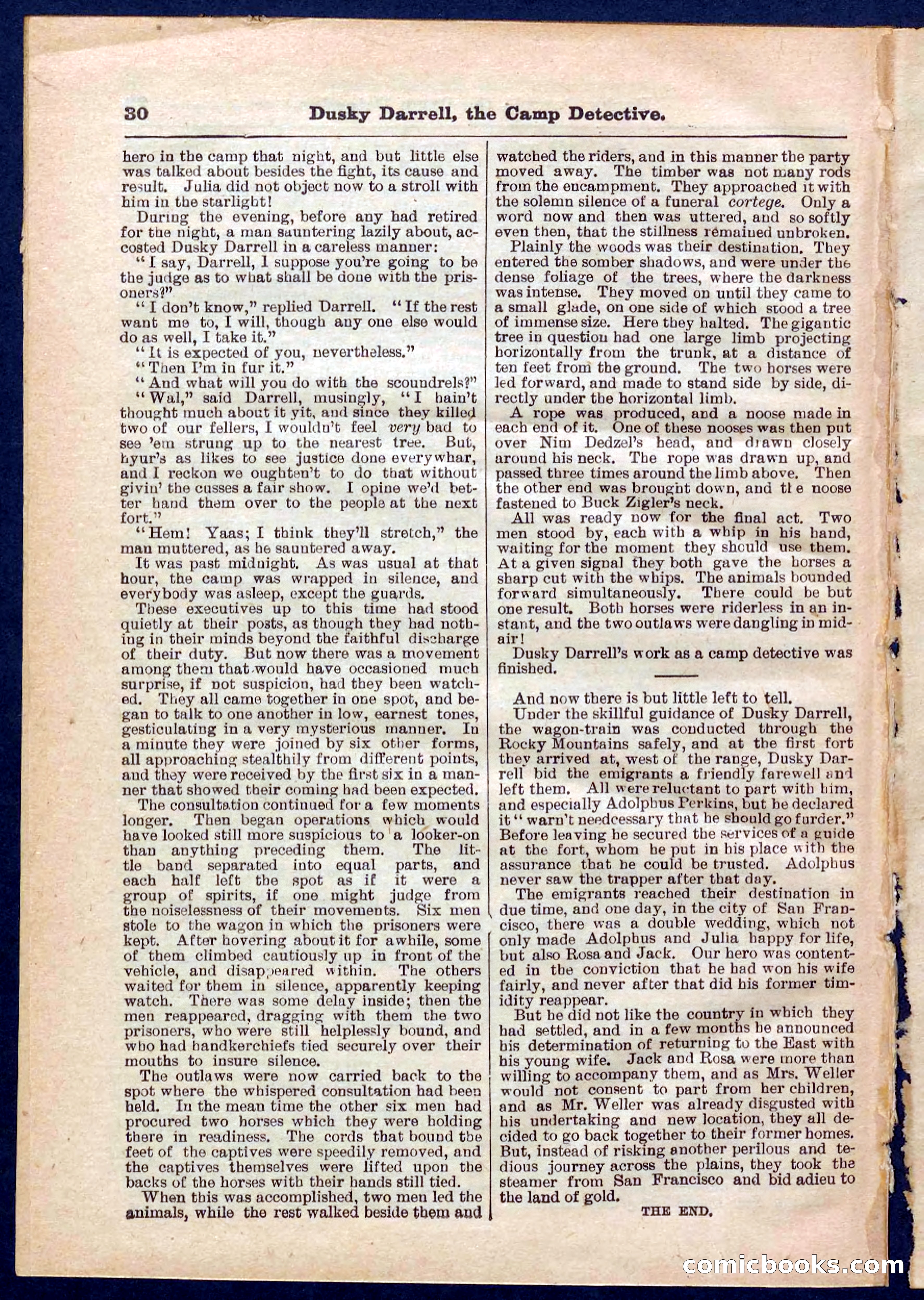 Beadle's Pocket Library No. 325 — page 30 of 32