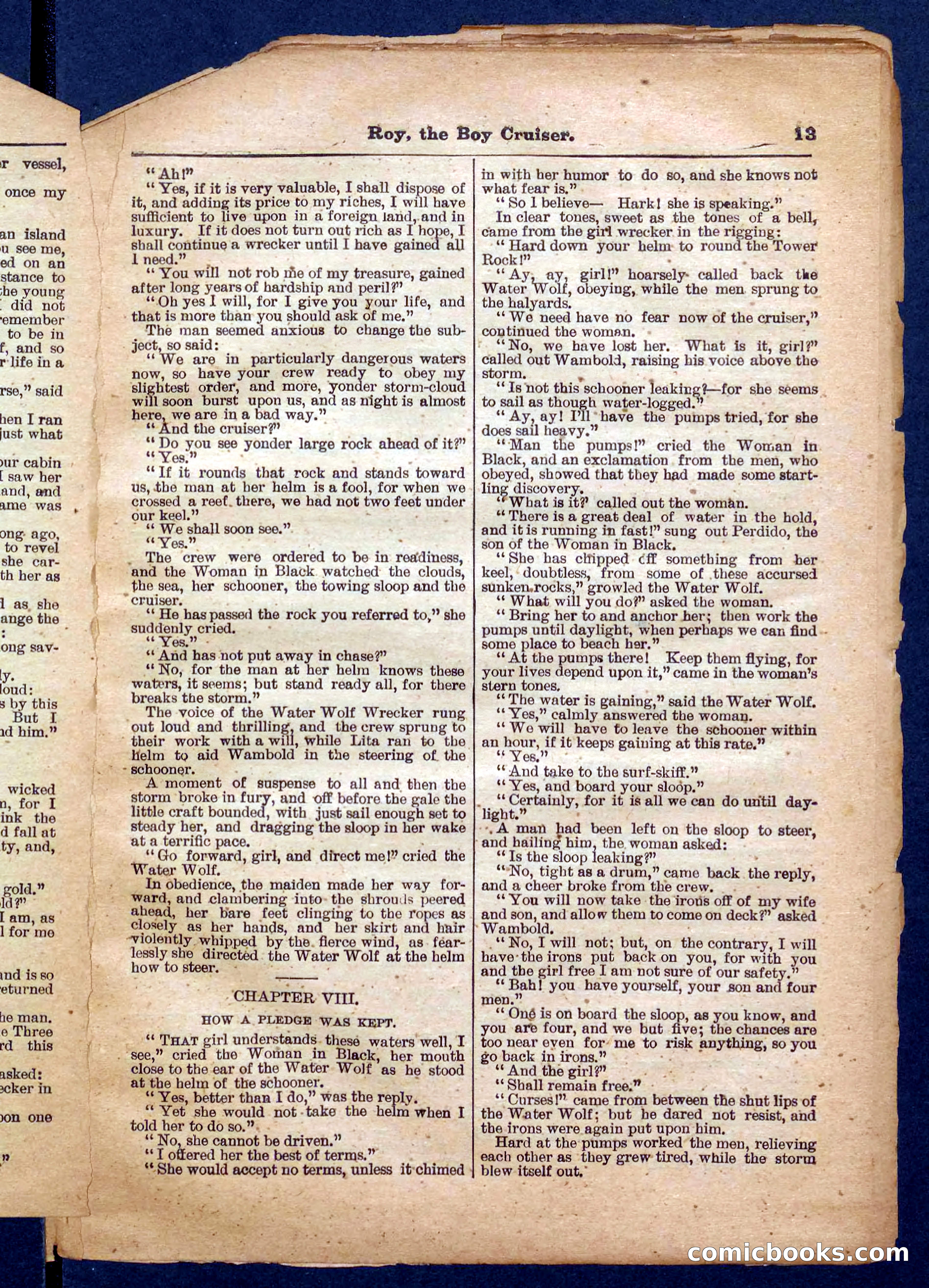 Beadle's Pocket Library No. 326 — page 13 of 32
