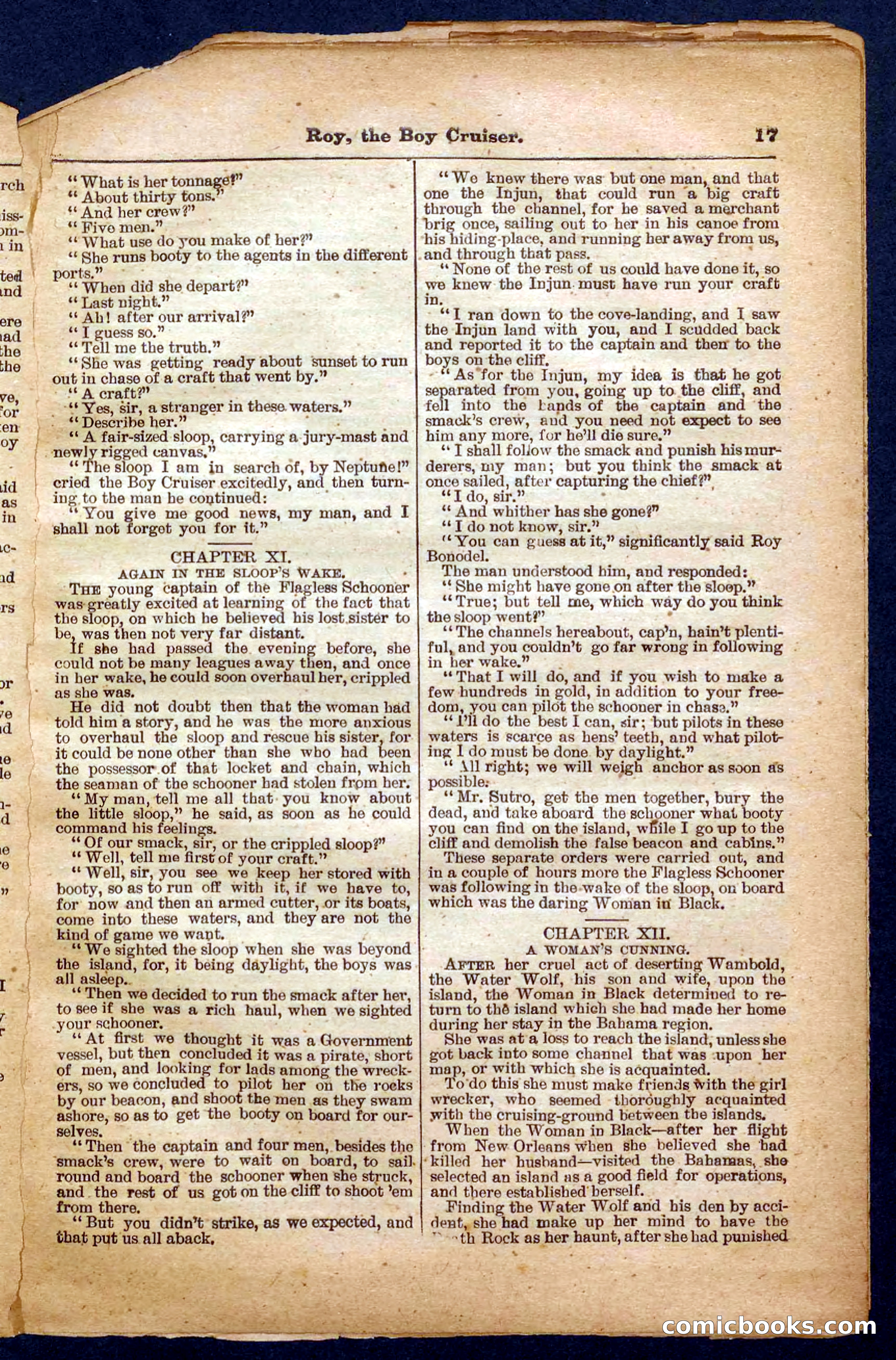 Beadle's Pocket Library No. 326 — page 17 of 32