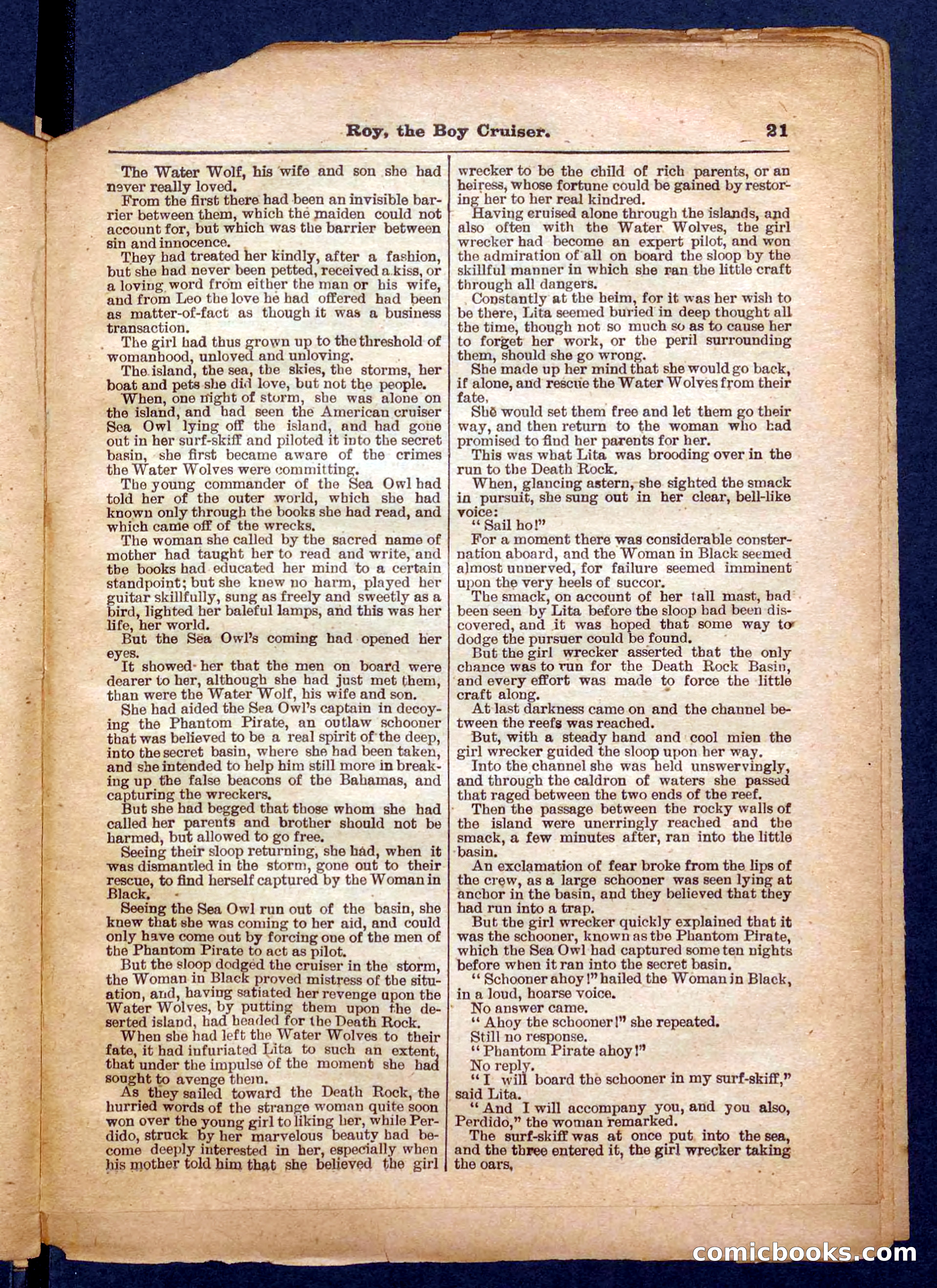 Beadle's Pocket Library No. 326 — page 21 of 32