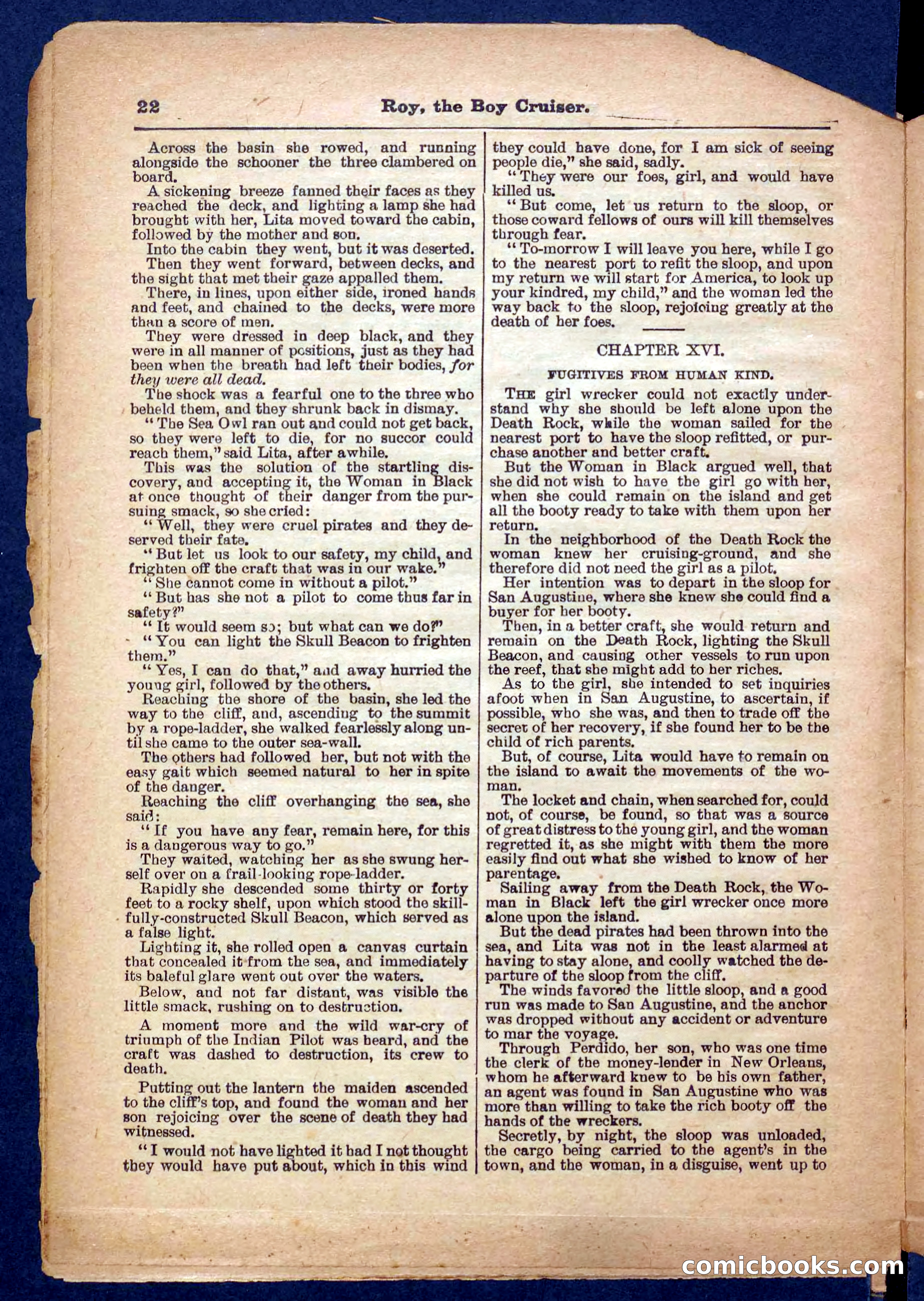 Beadle's Pocket Library No. 326 — page 22 of 32