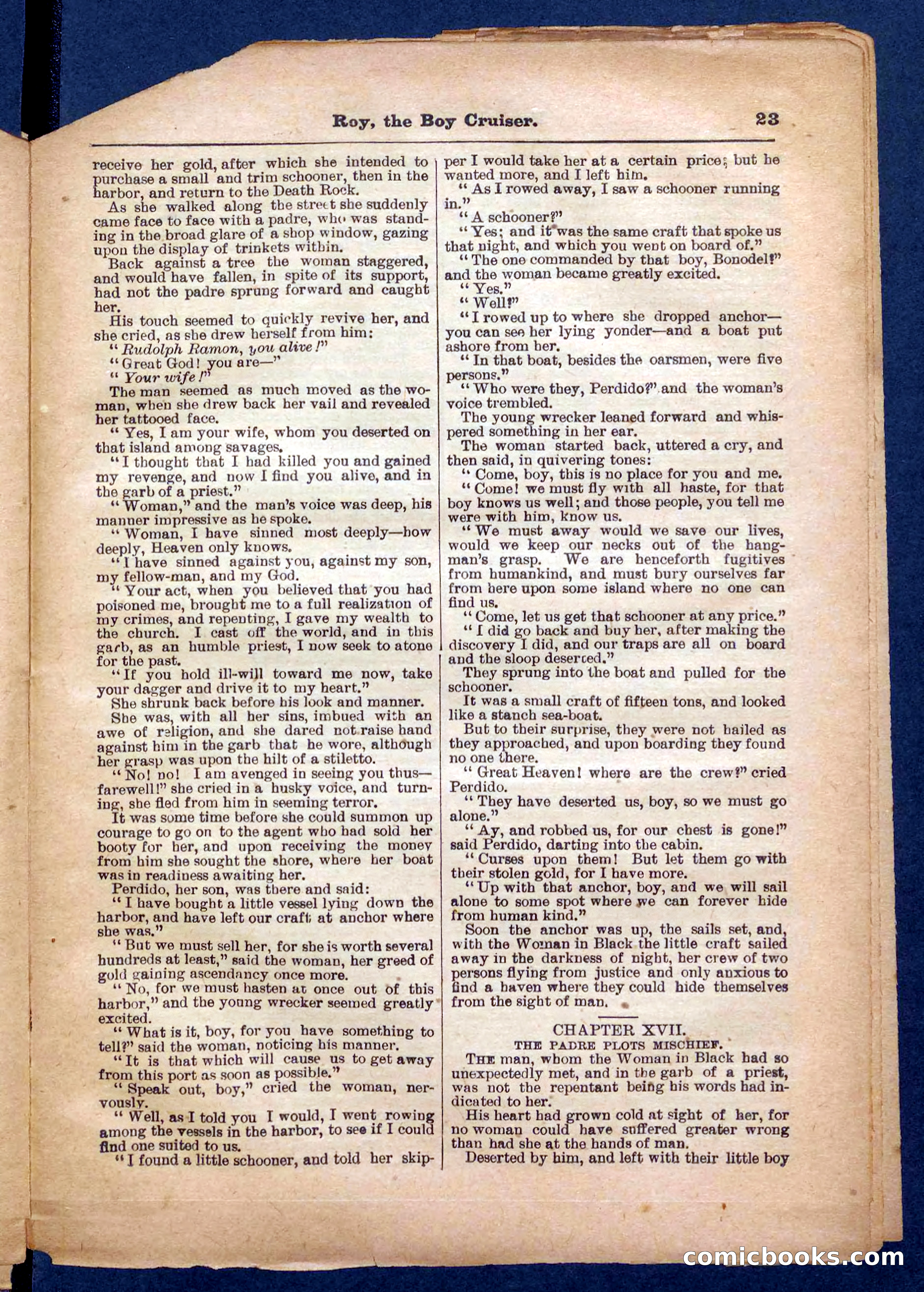 Beadle's Pocket Library No. 326 — page 23 of 32