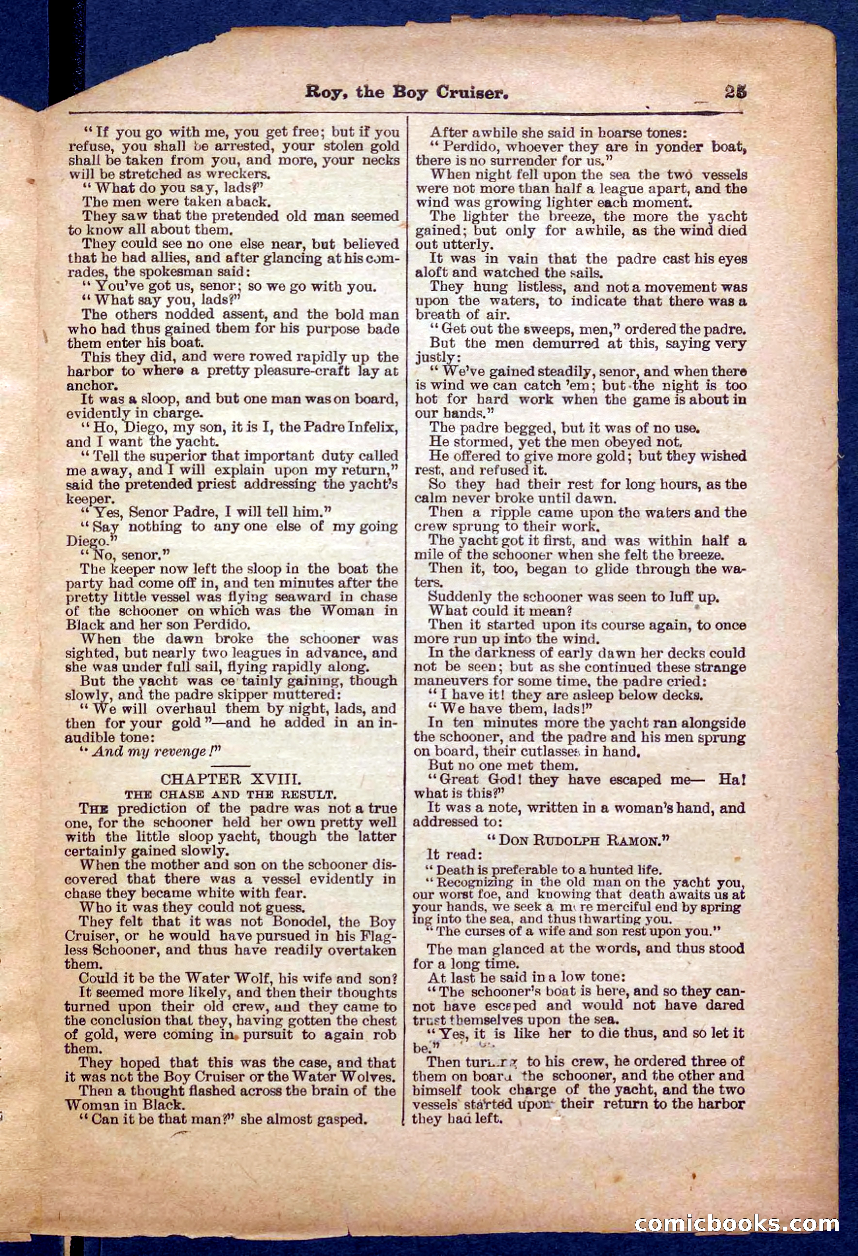 Beadle's Pocket Library No. 326 — page 25 of 32