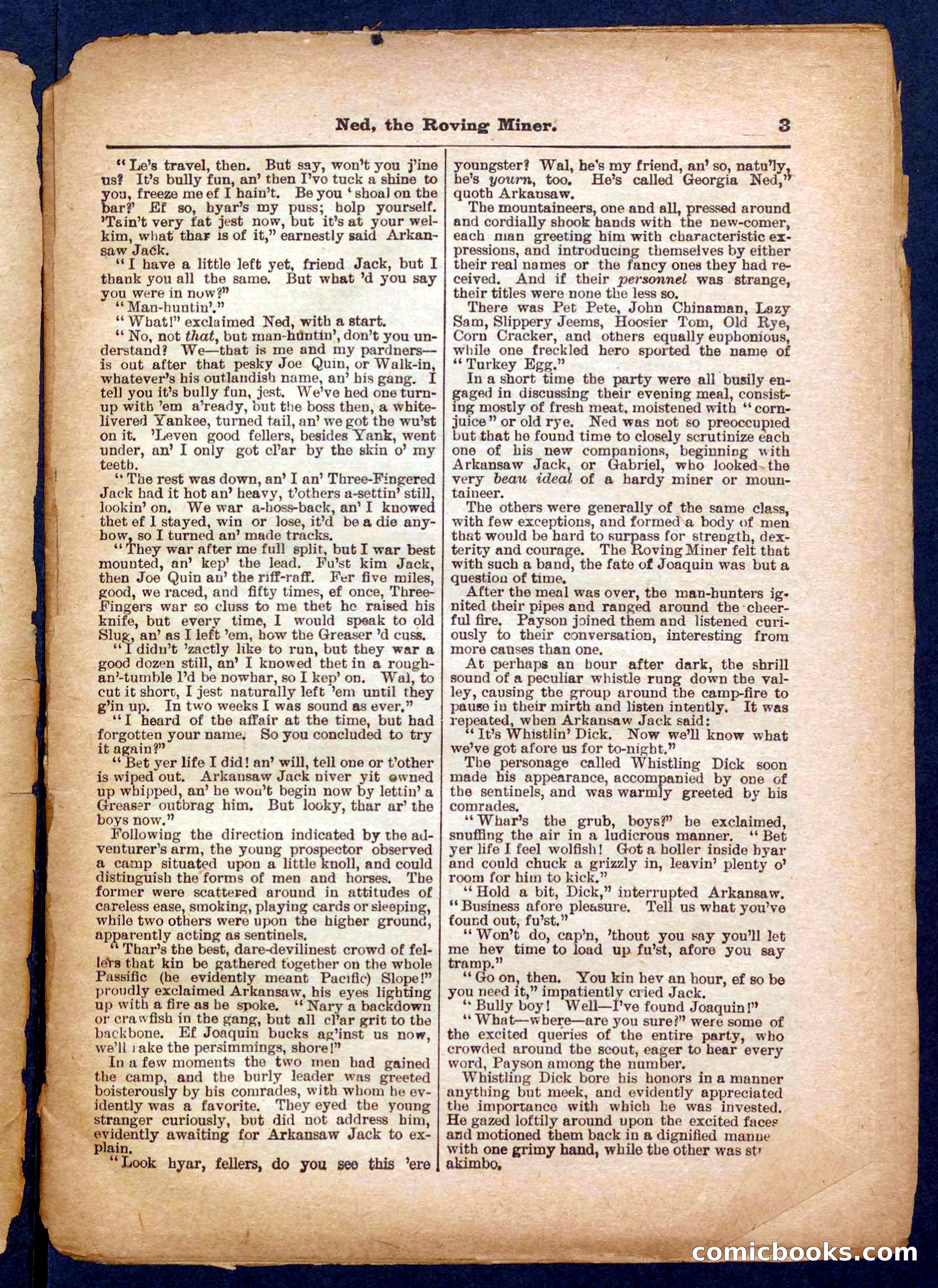 Beadle's Pocket Library No. 327 — page 3 of 32