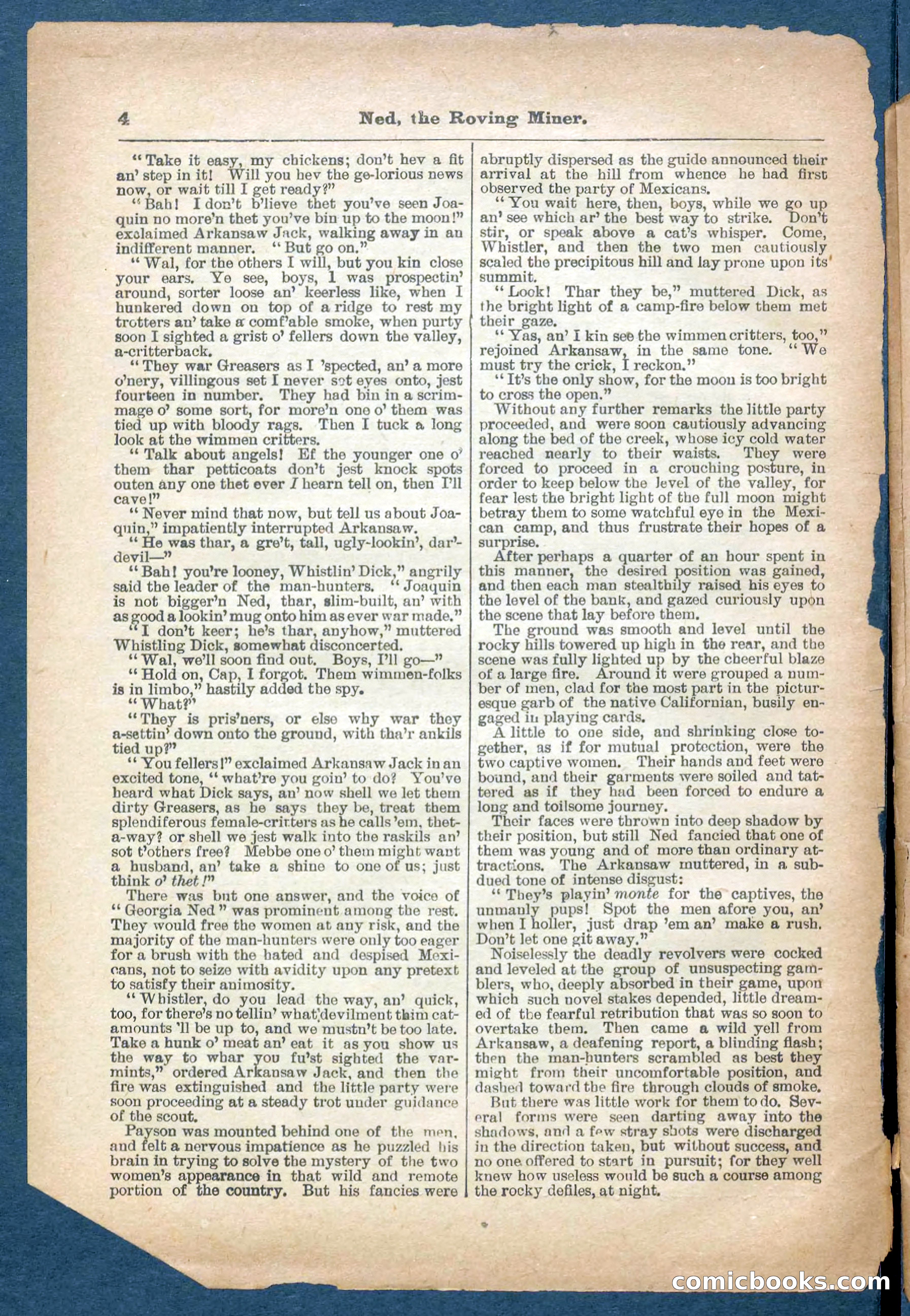 Beadle's Pocket Library No. 327 — page 4 of 32